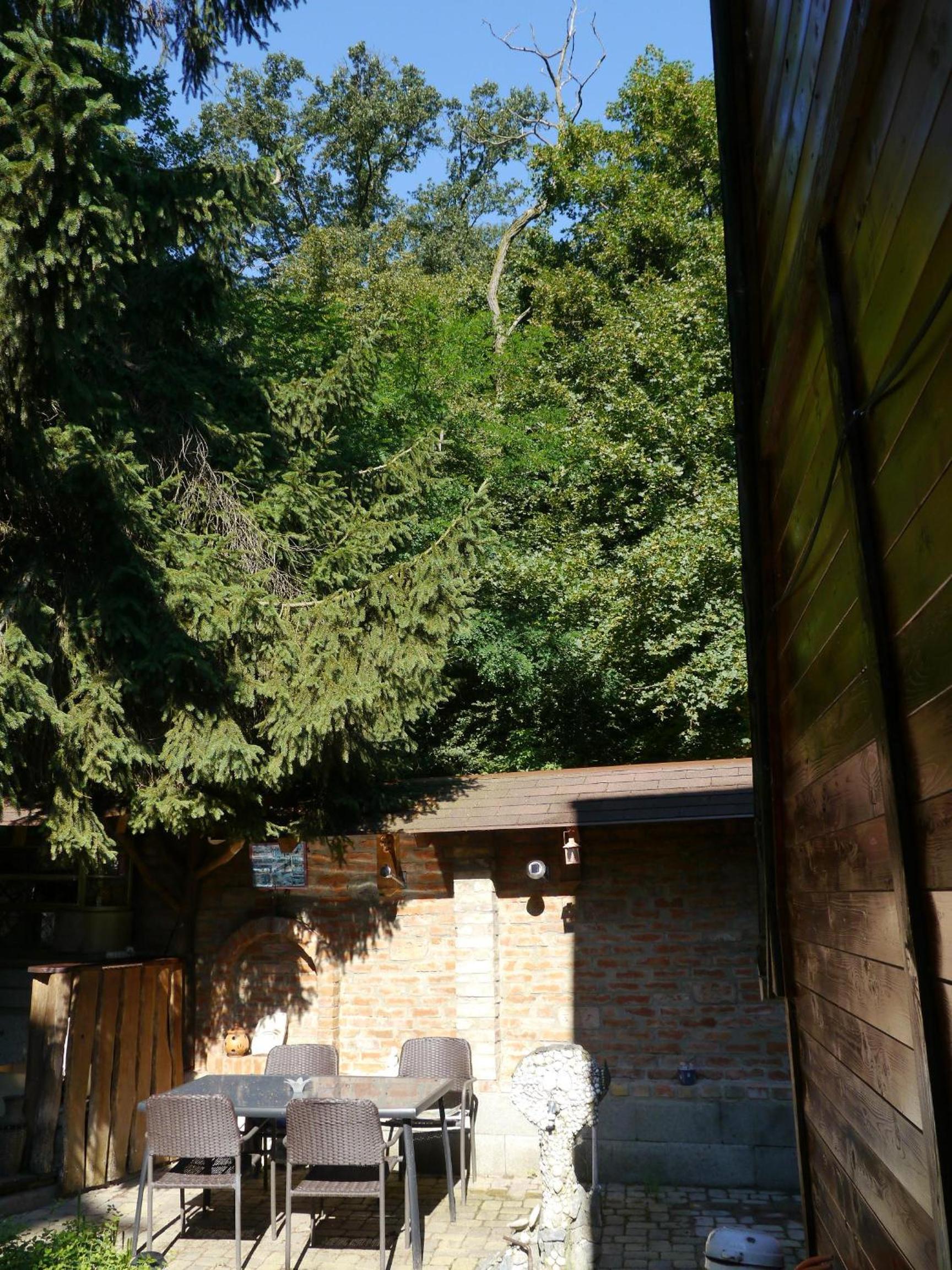 Photo 20