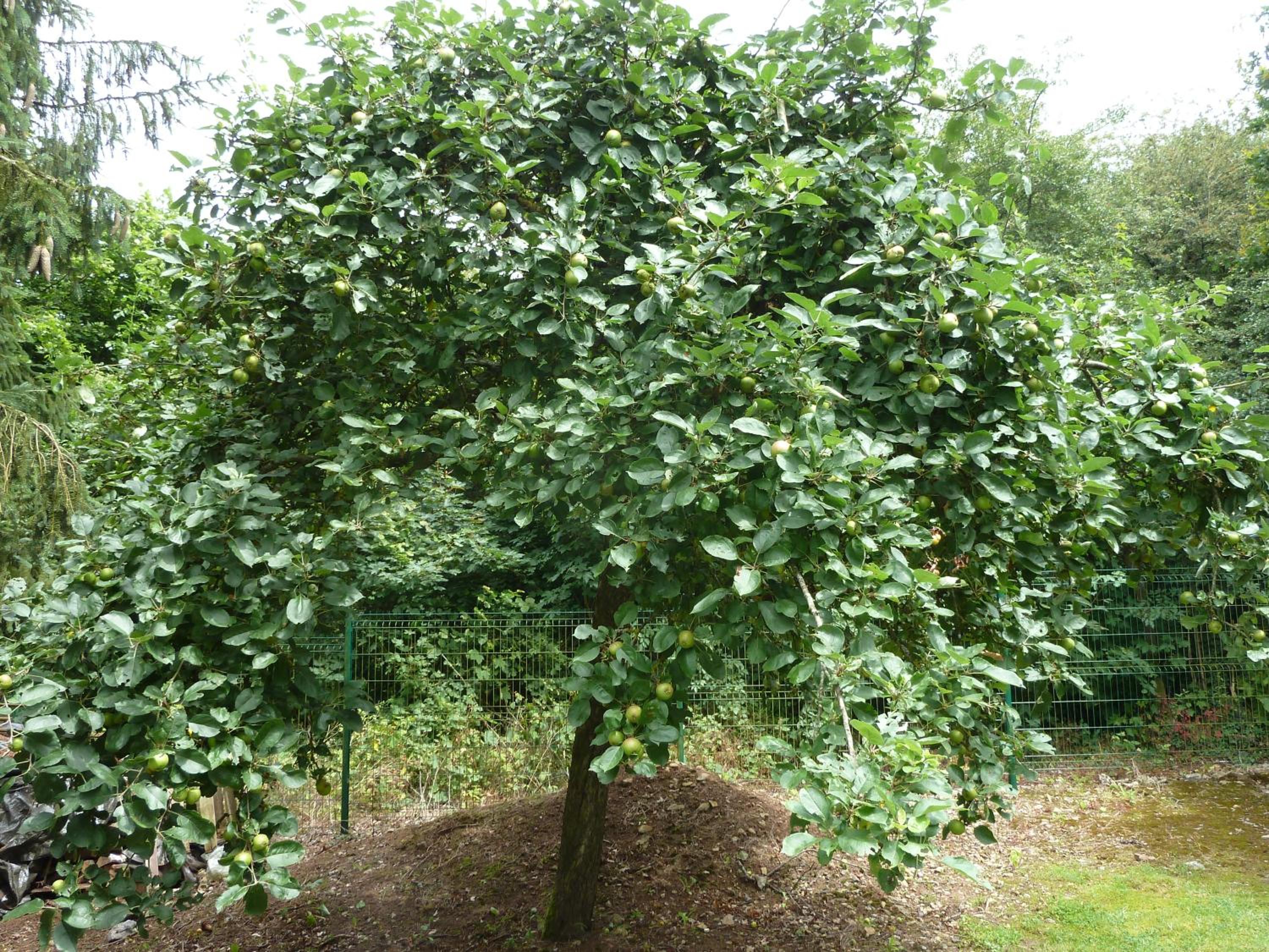 Photo 18