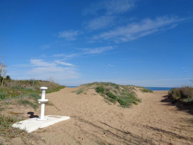 Photo 41