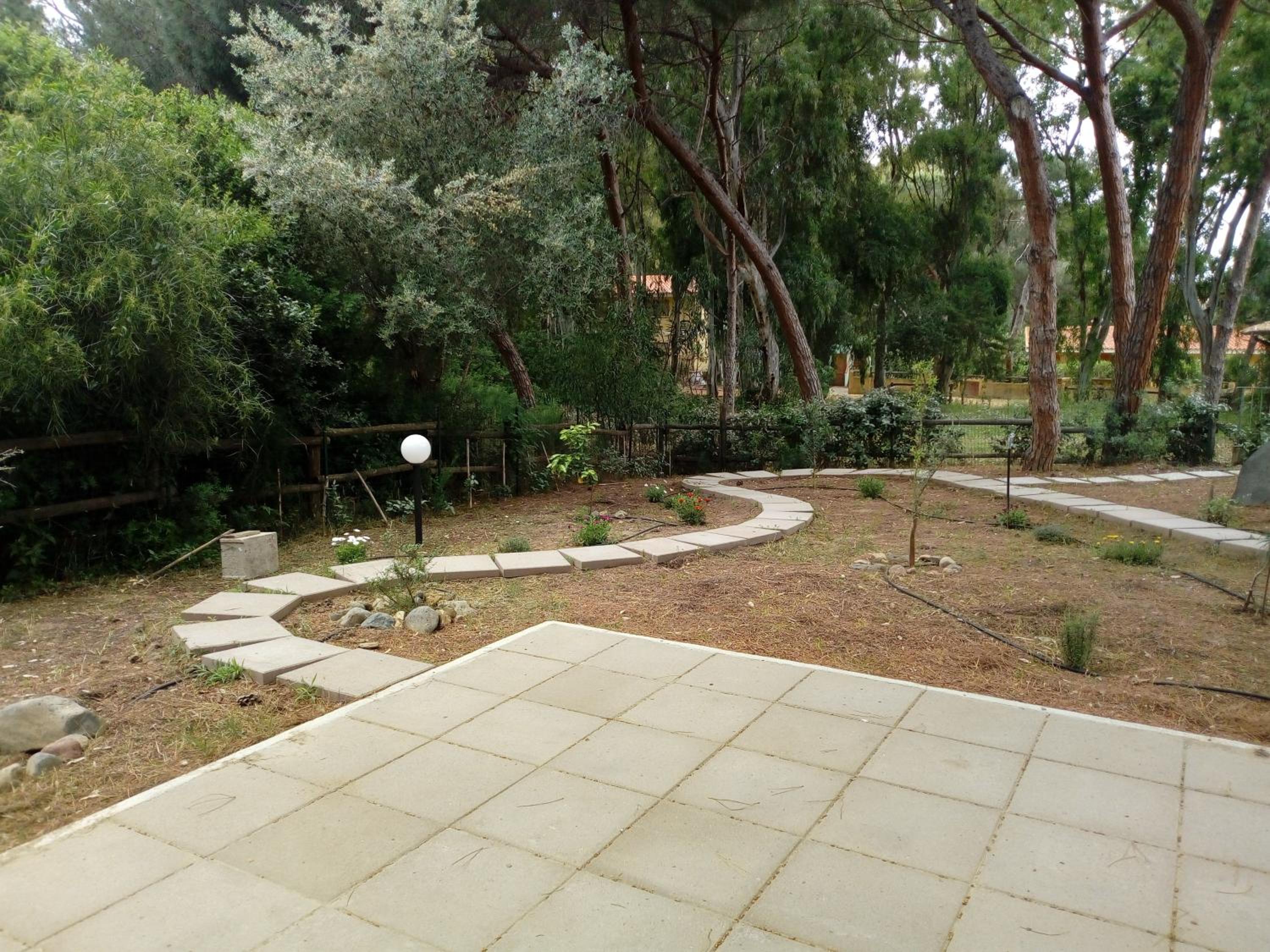 Photo 25
