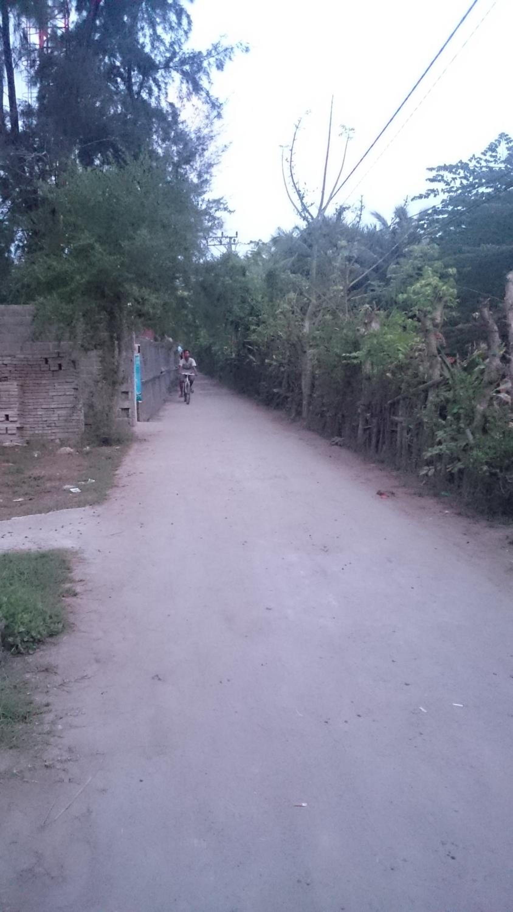 Photo 42