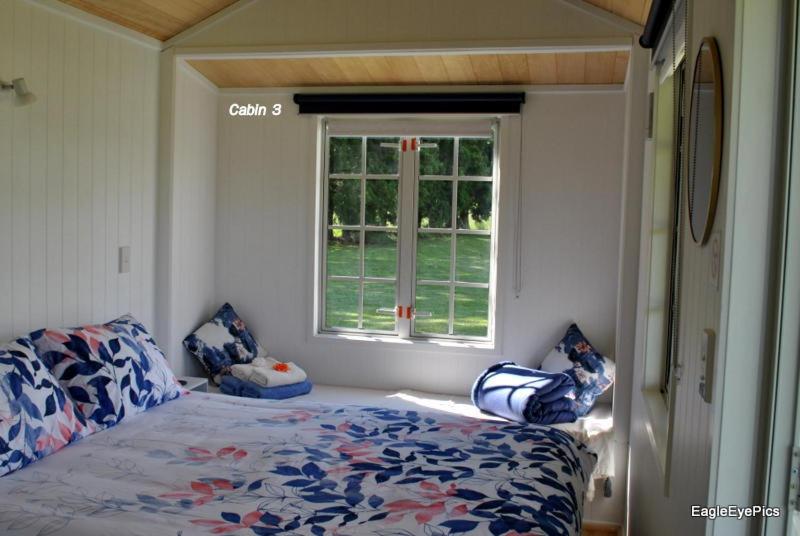 Palm Drive 'Cozy Cabins' view 3