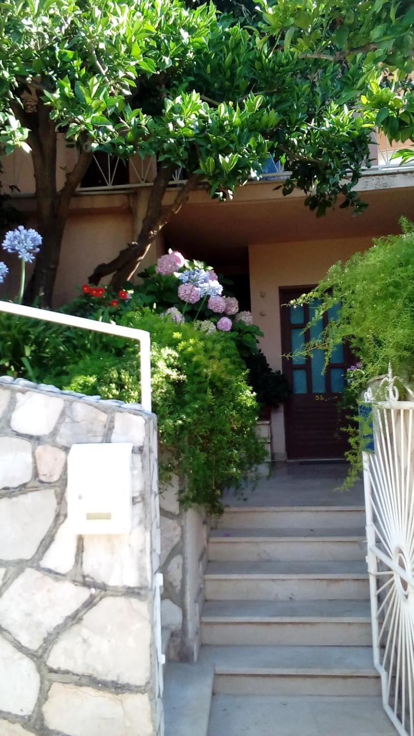 Guest House Roza