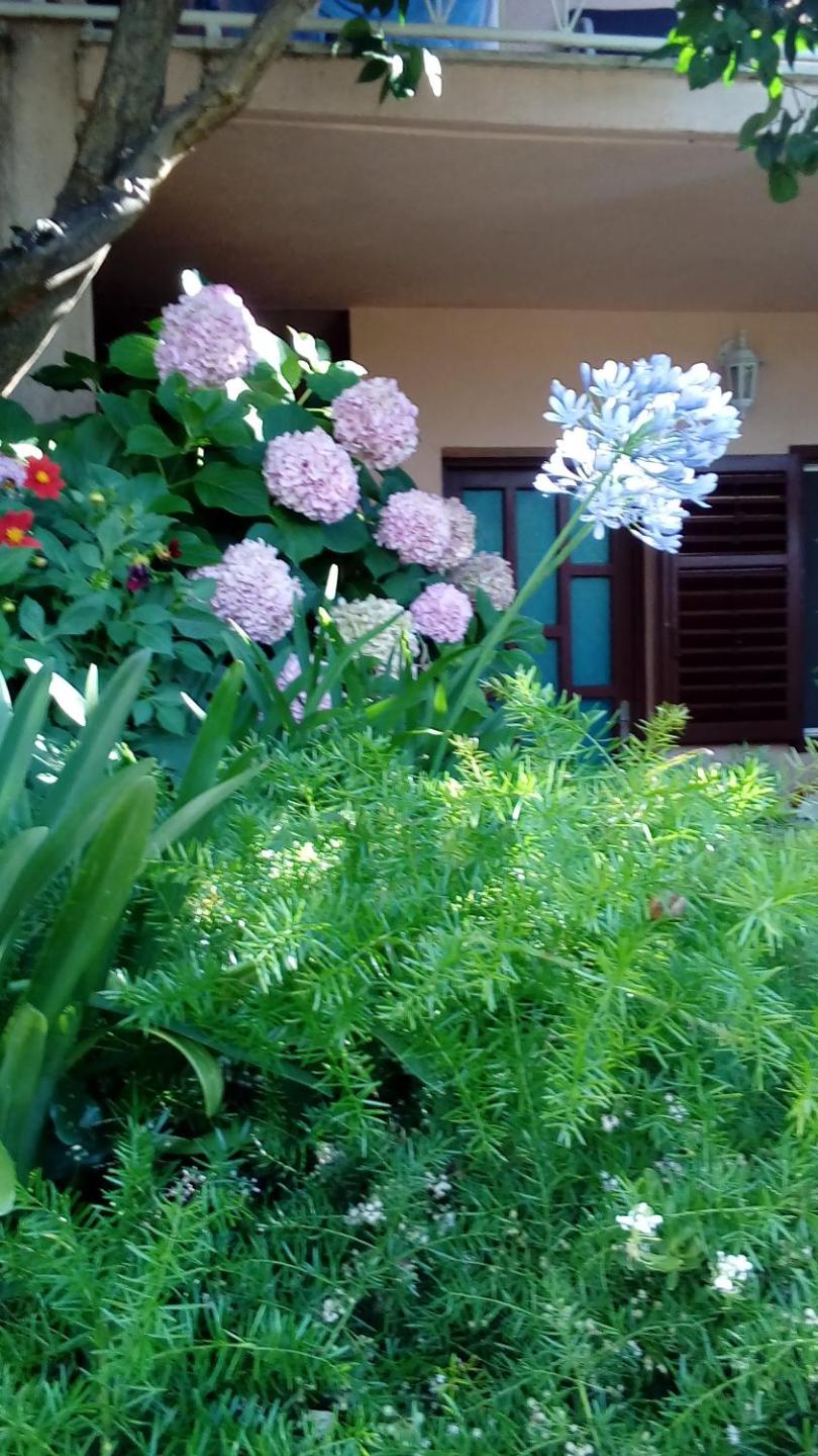 Guest House Roza
