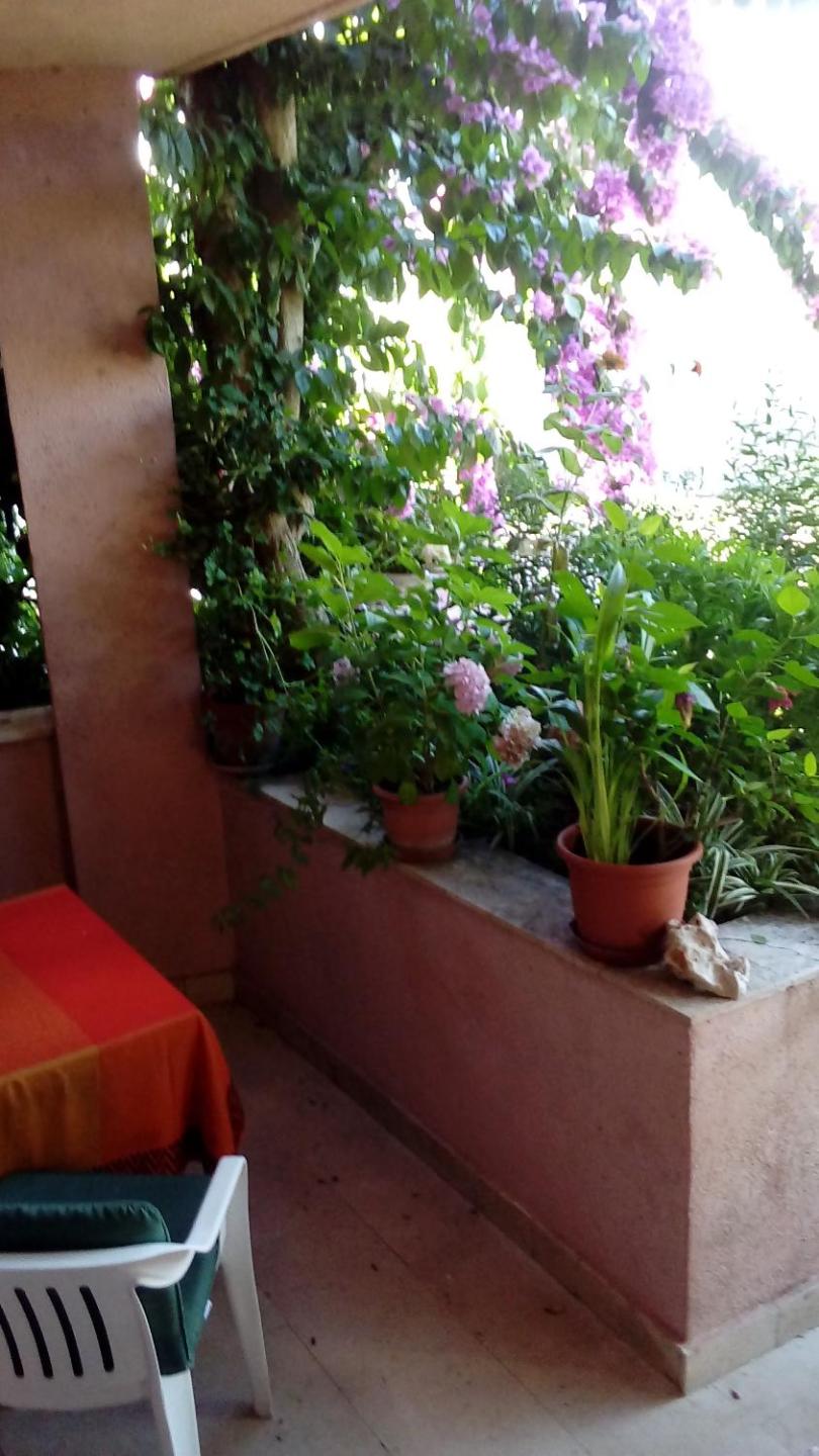 Guest House Roza
