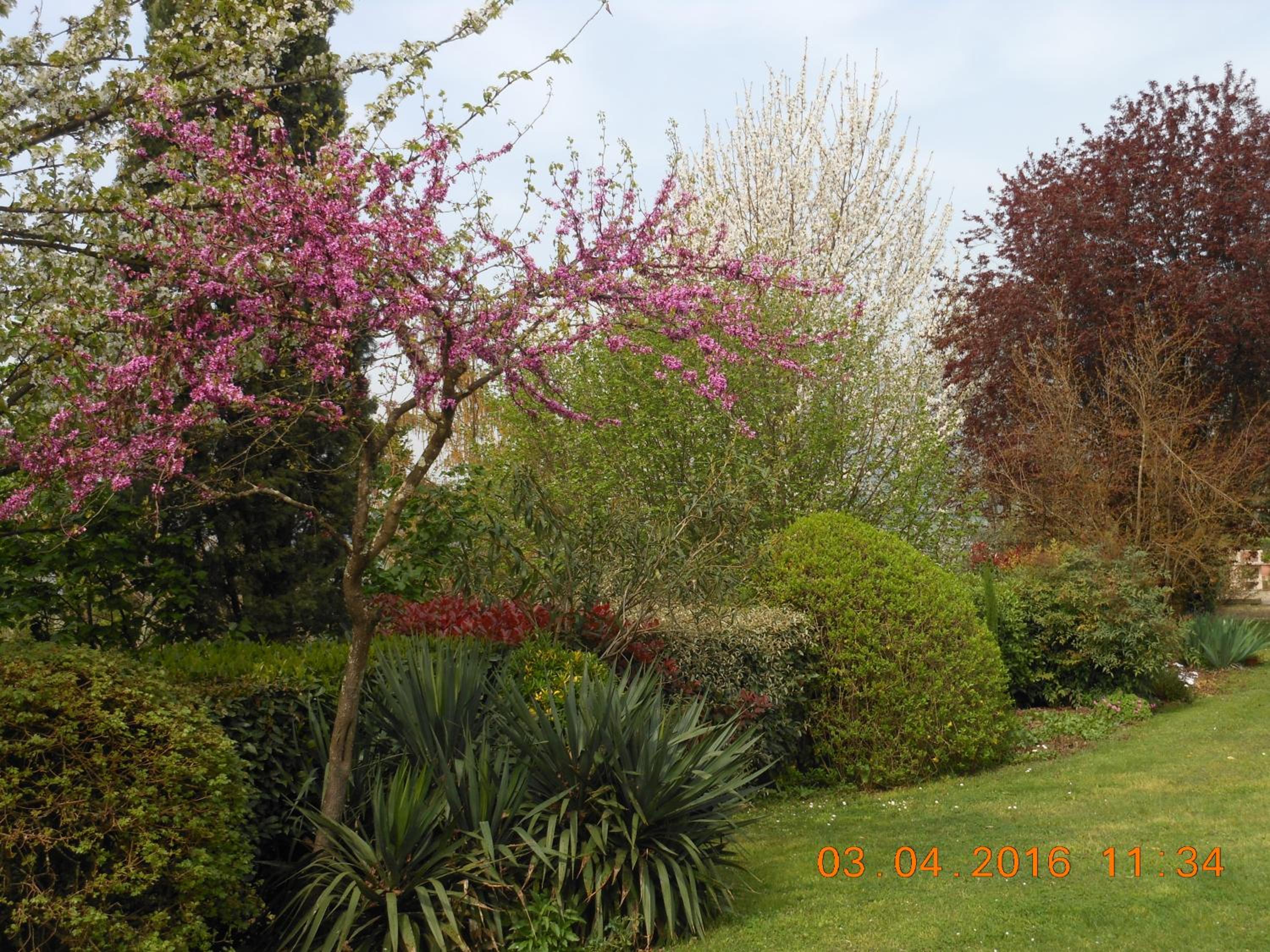 Photo 30