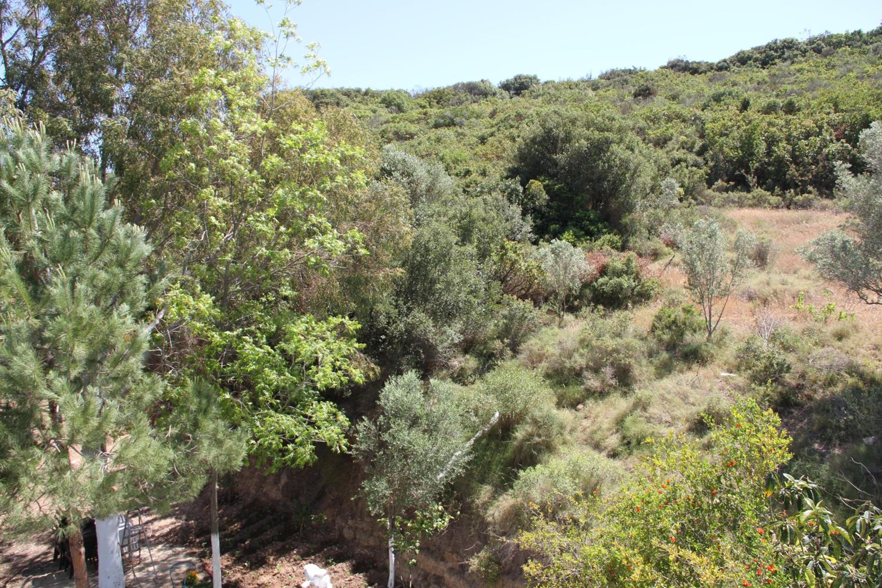 AELBİSTAN OTEL - Image 17