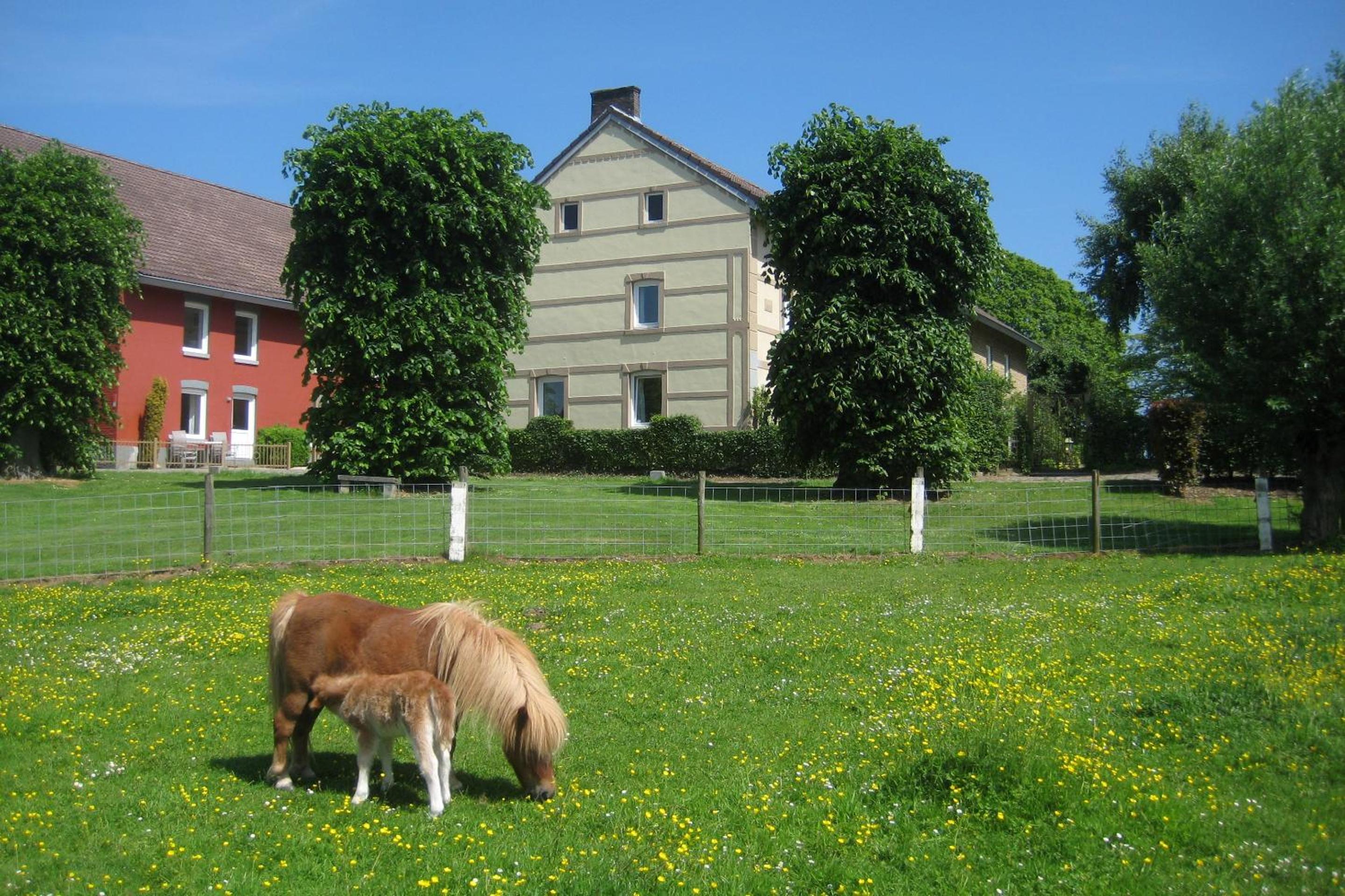Bungalowpark Landsrade
