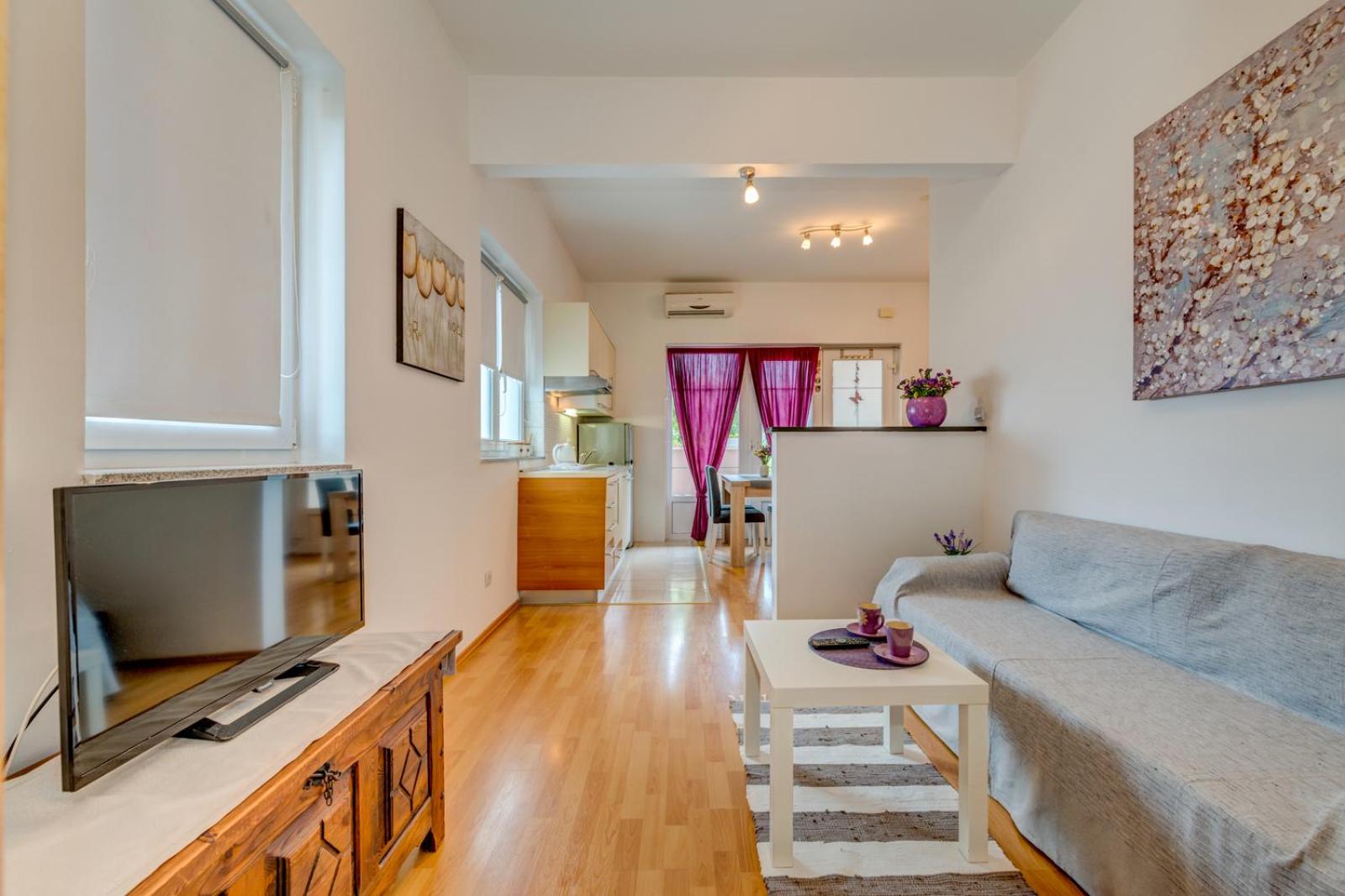 Apartment Roko