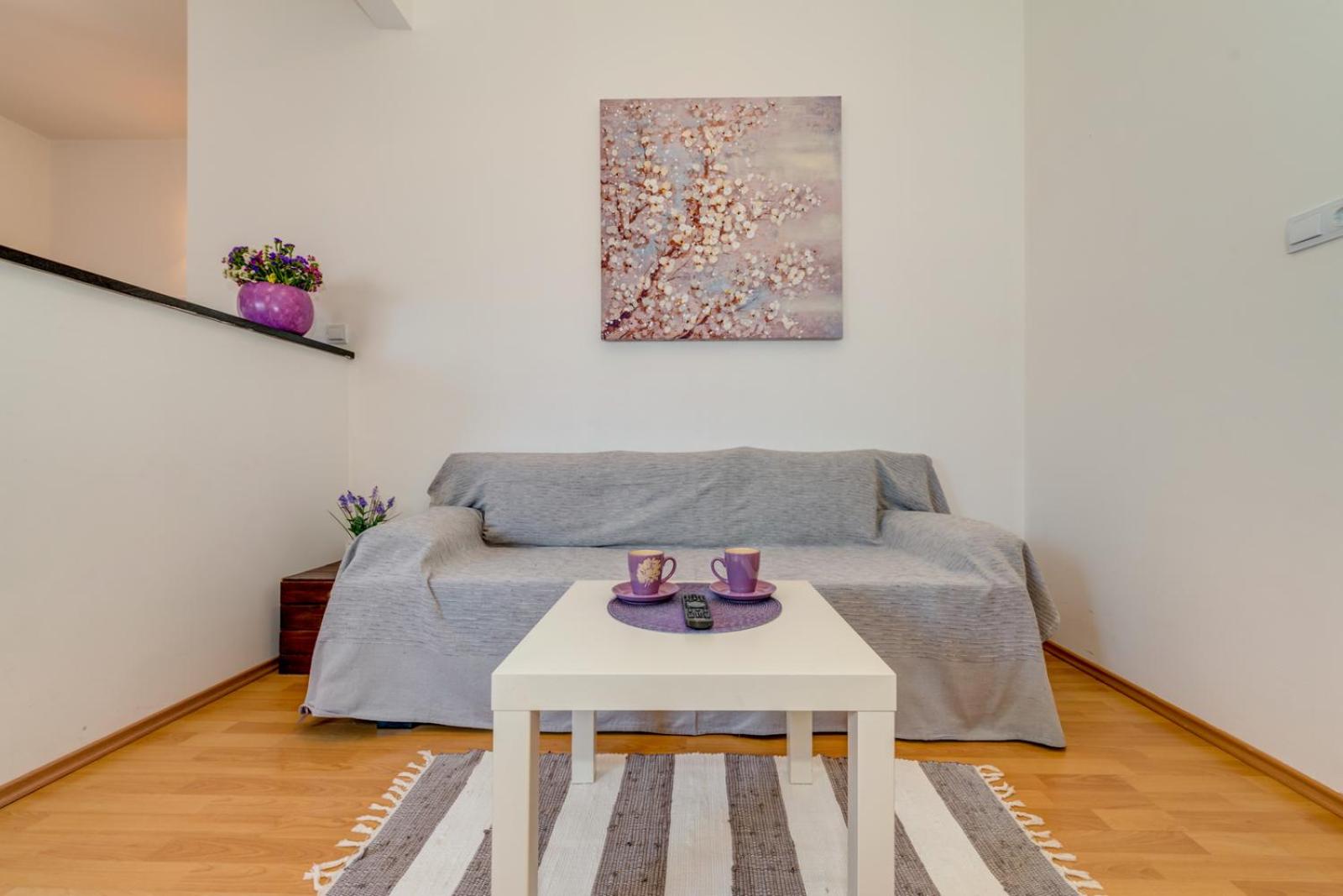 Apartment Roko