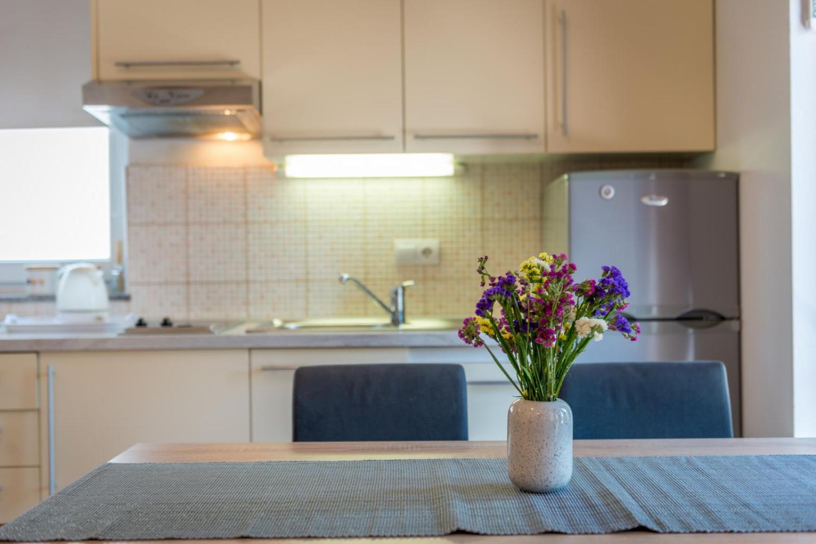 Apartment Roko