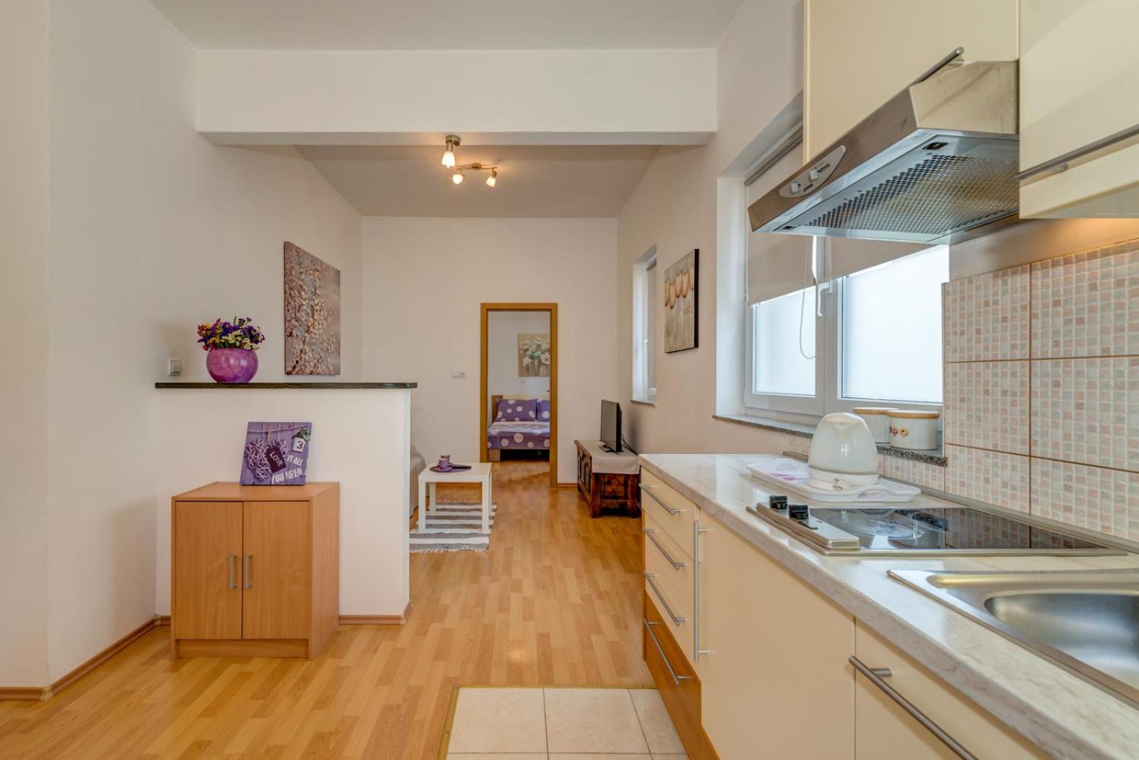 Apartment Roko