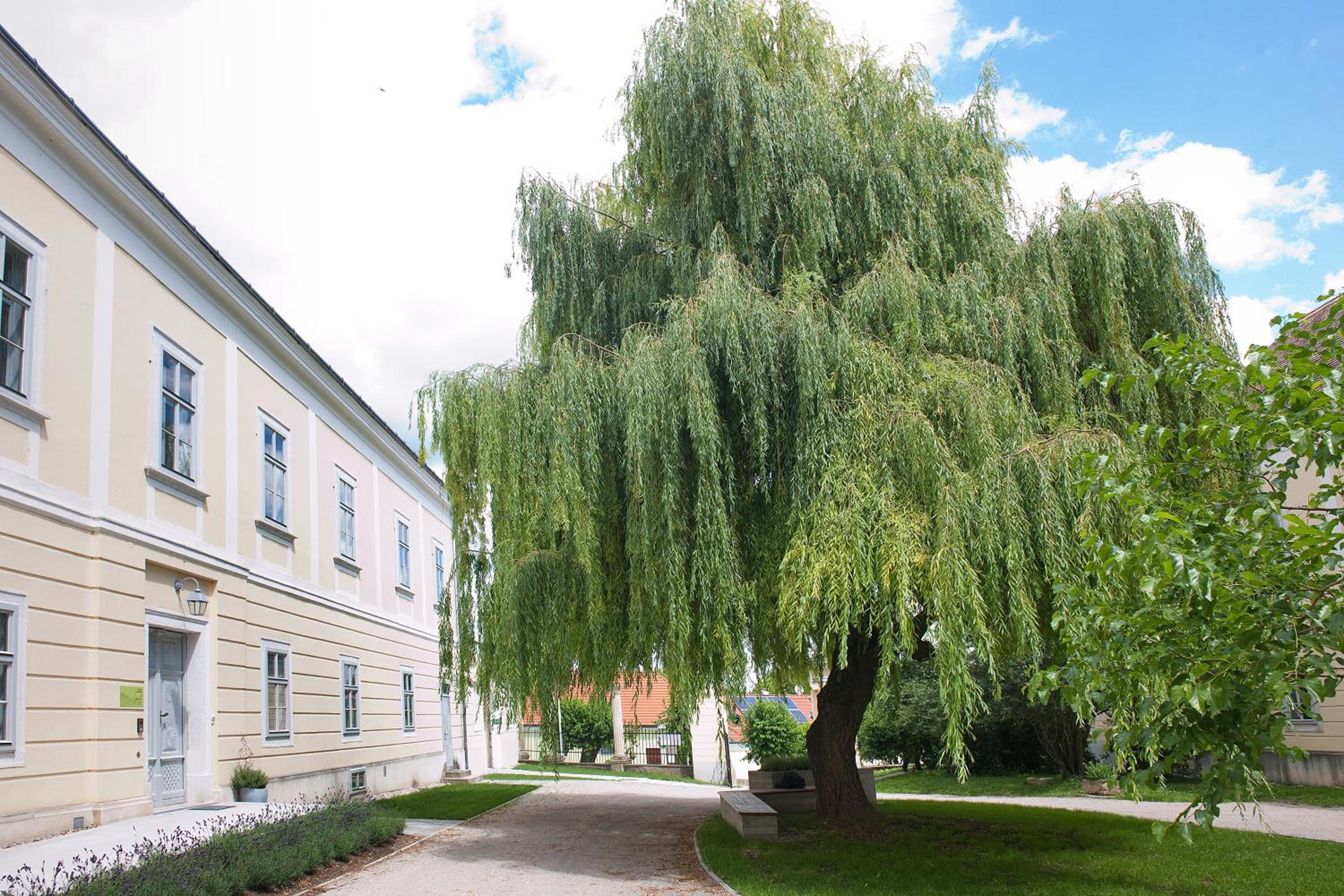 OBENauf in Unternalb view 5