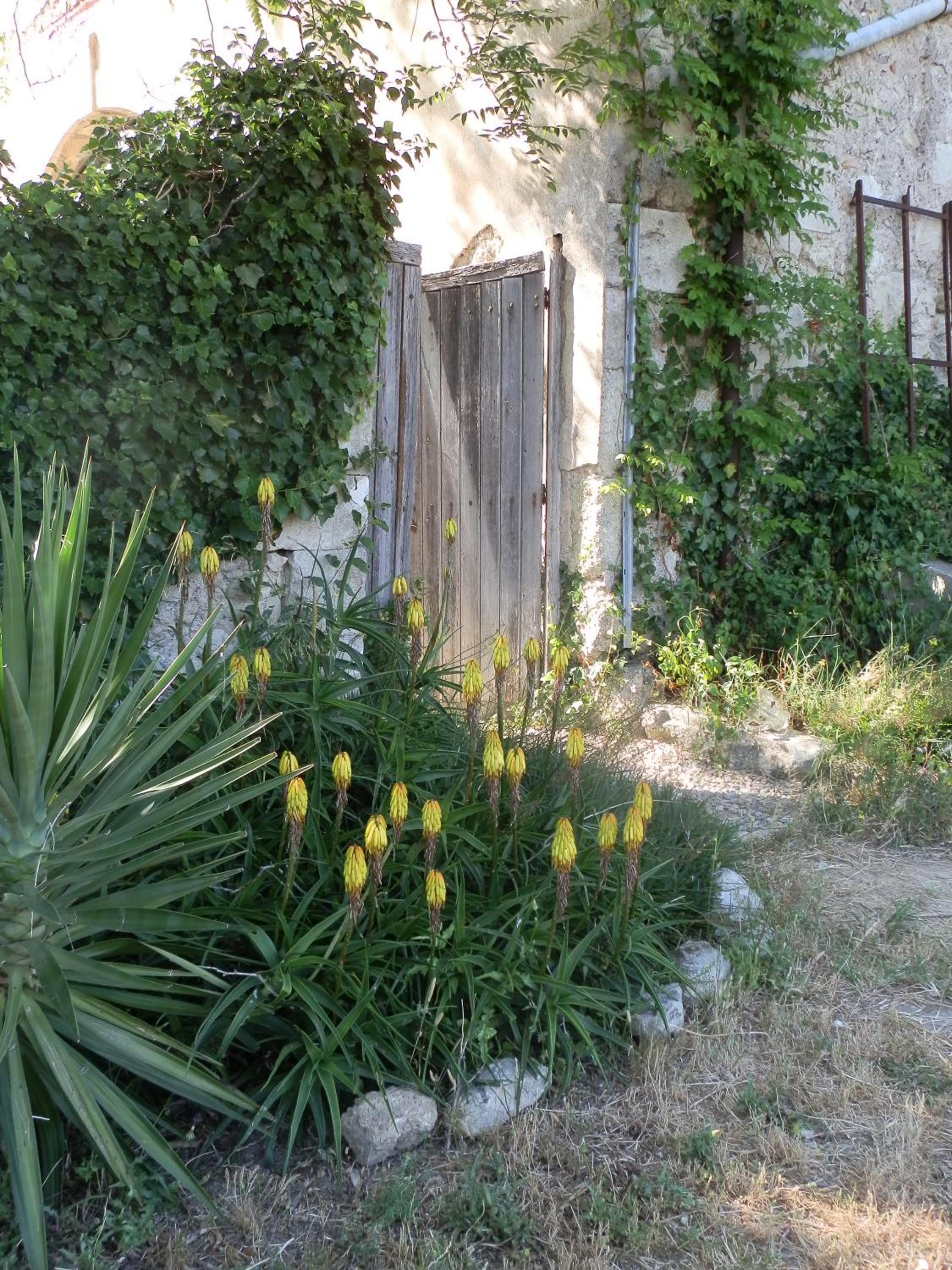Photo 31