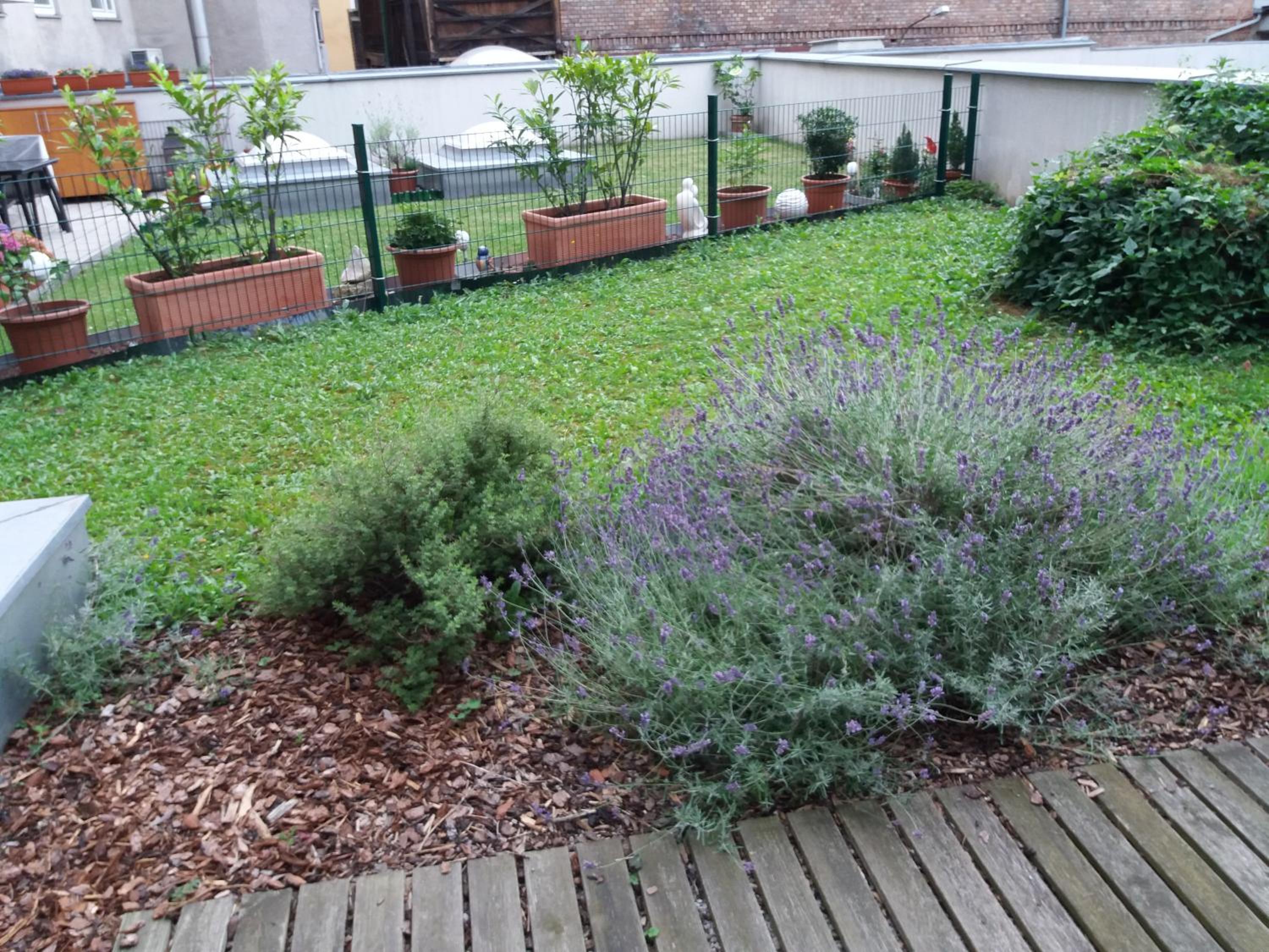 Terrassentraum