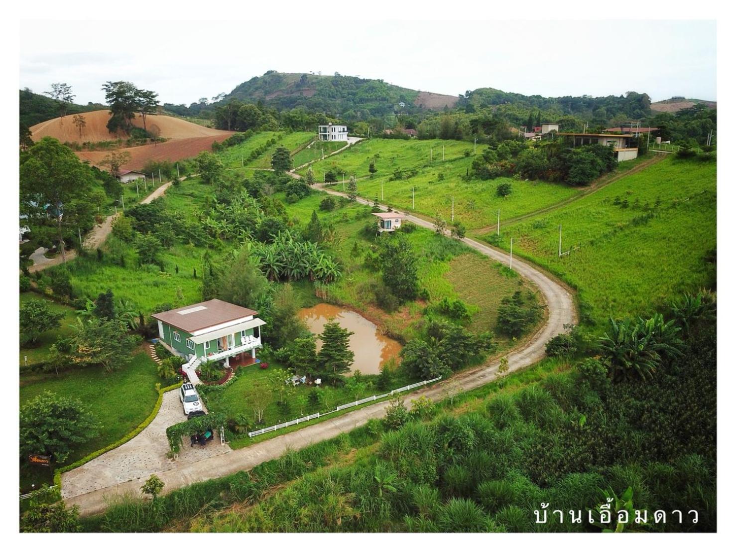 Photo 141