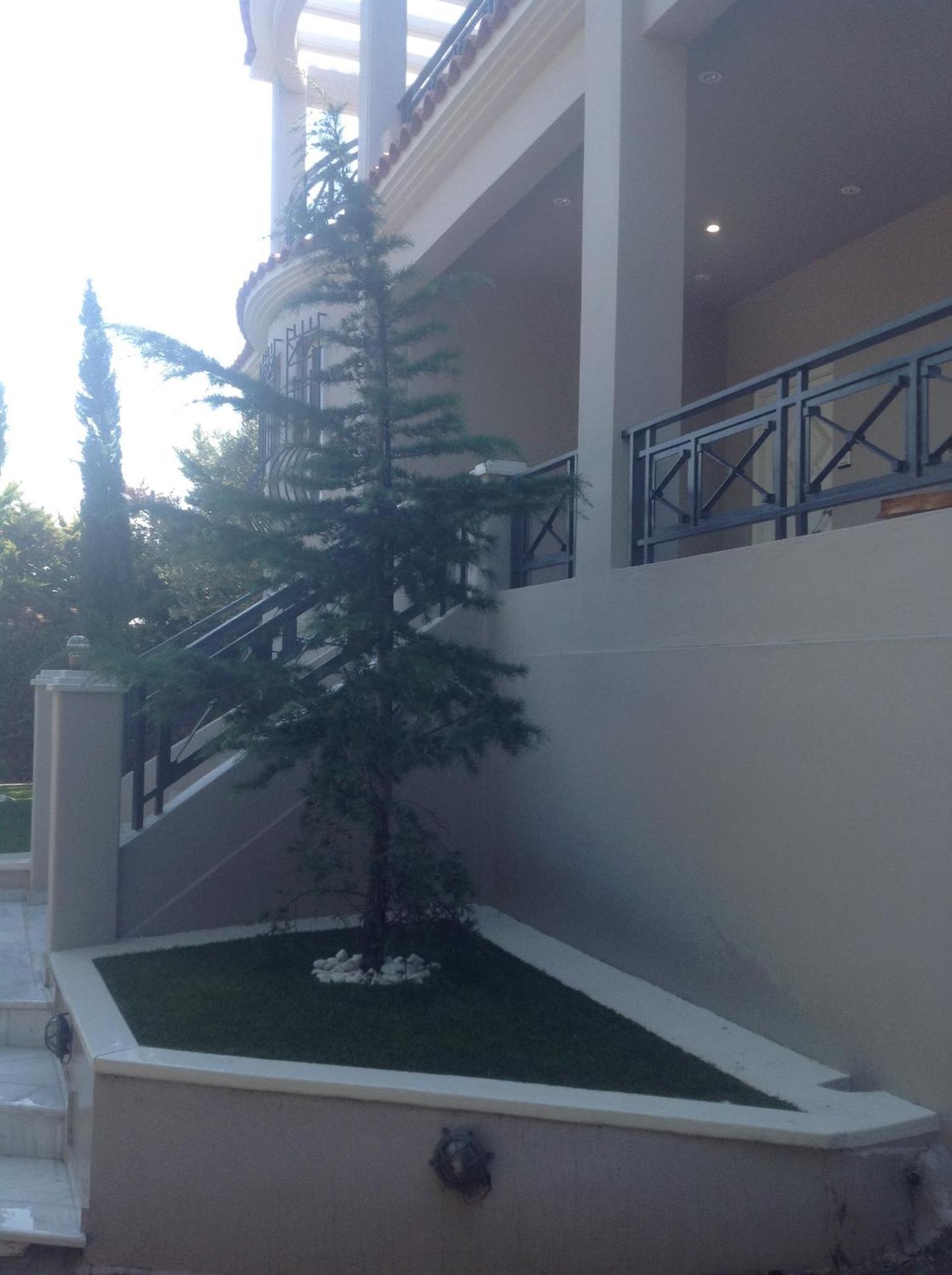 Suite with garden