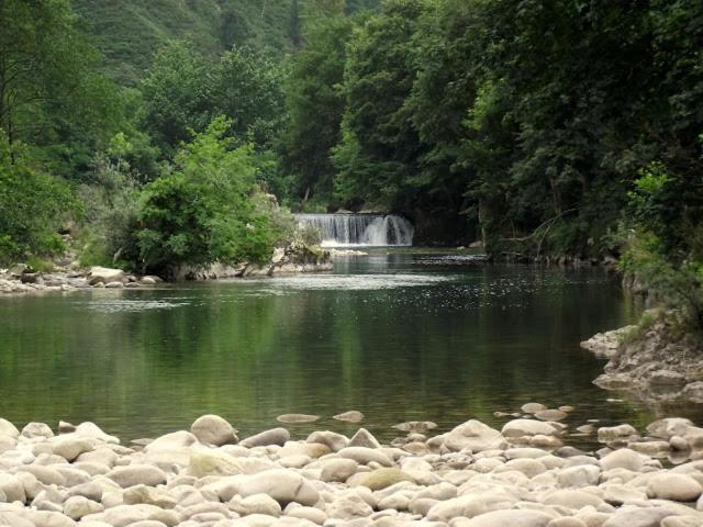 Photo 49