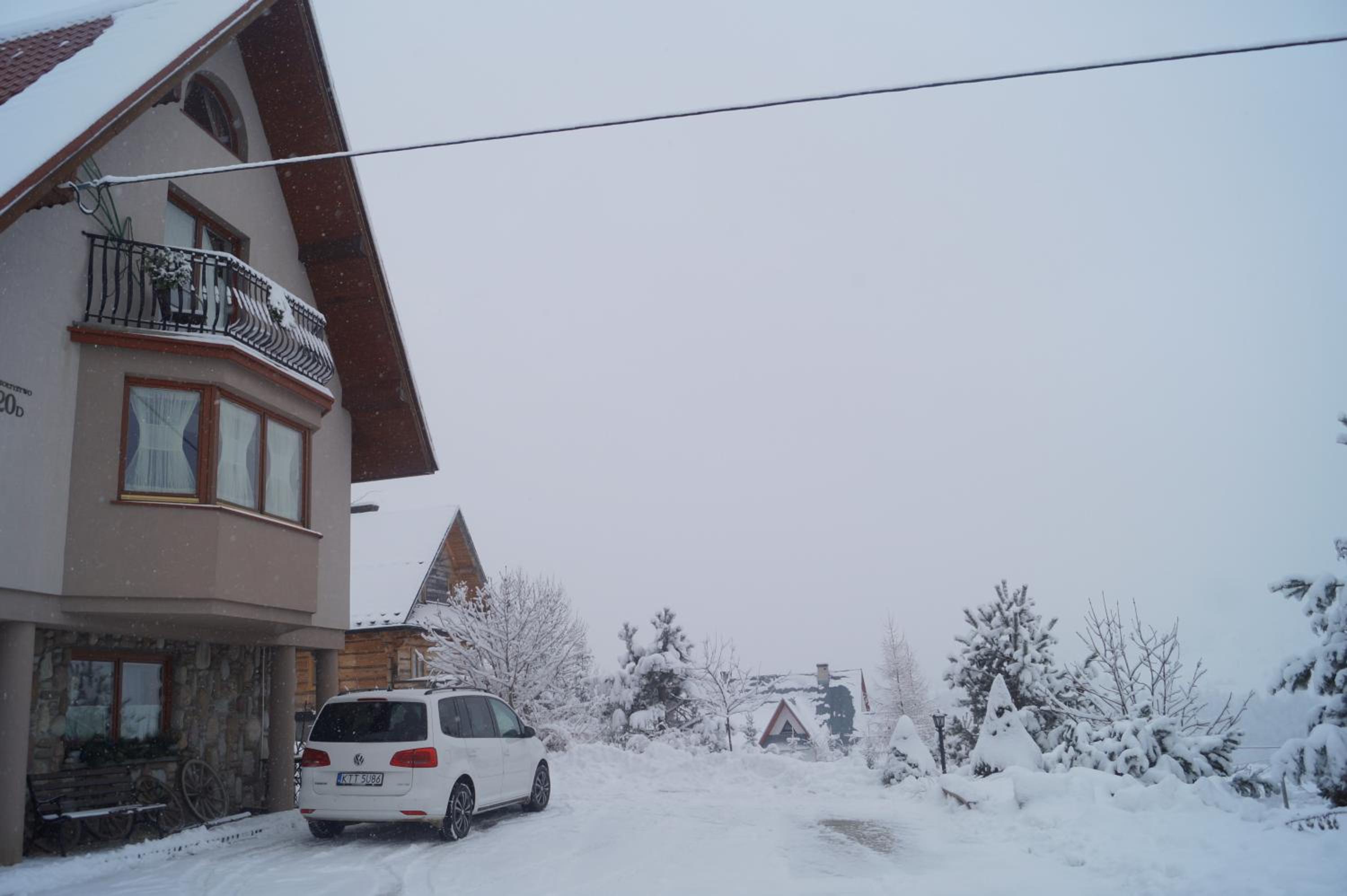 Photo 41