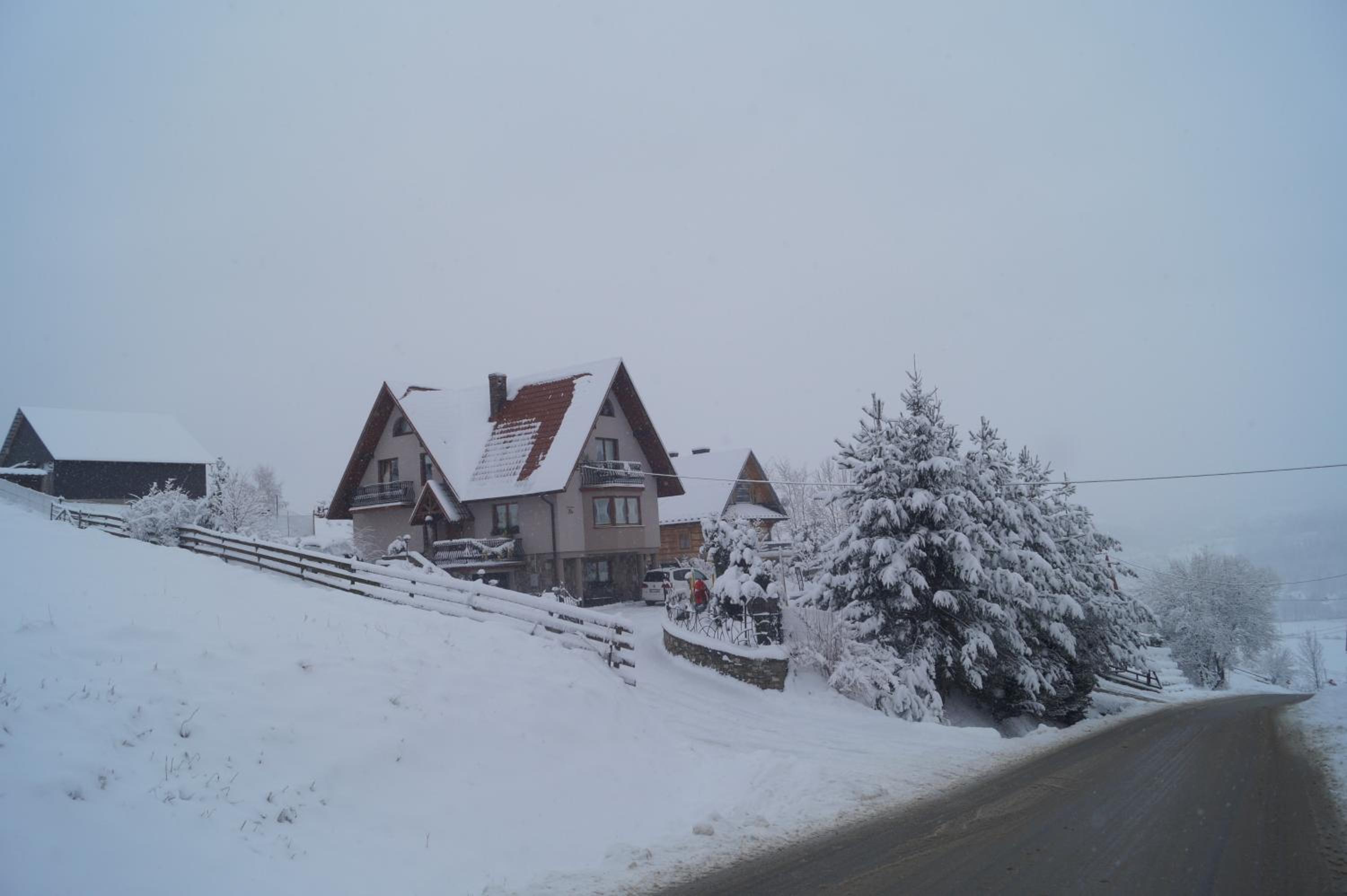 Photo 50