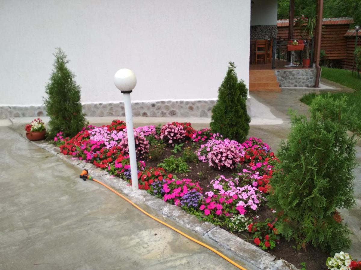 Guest House 