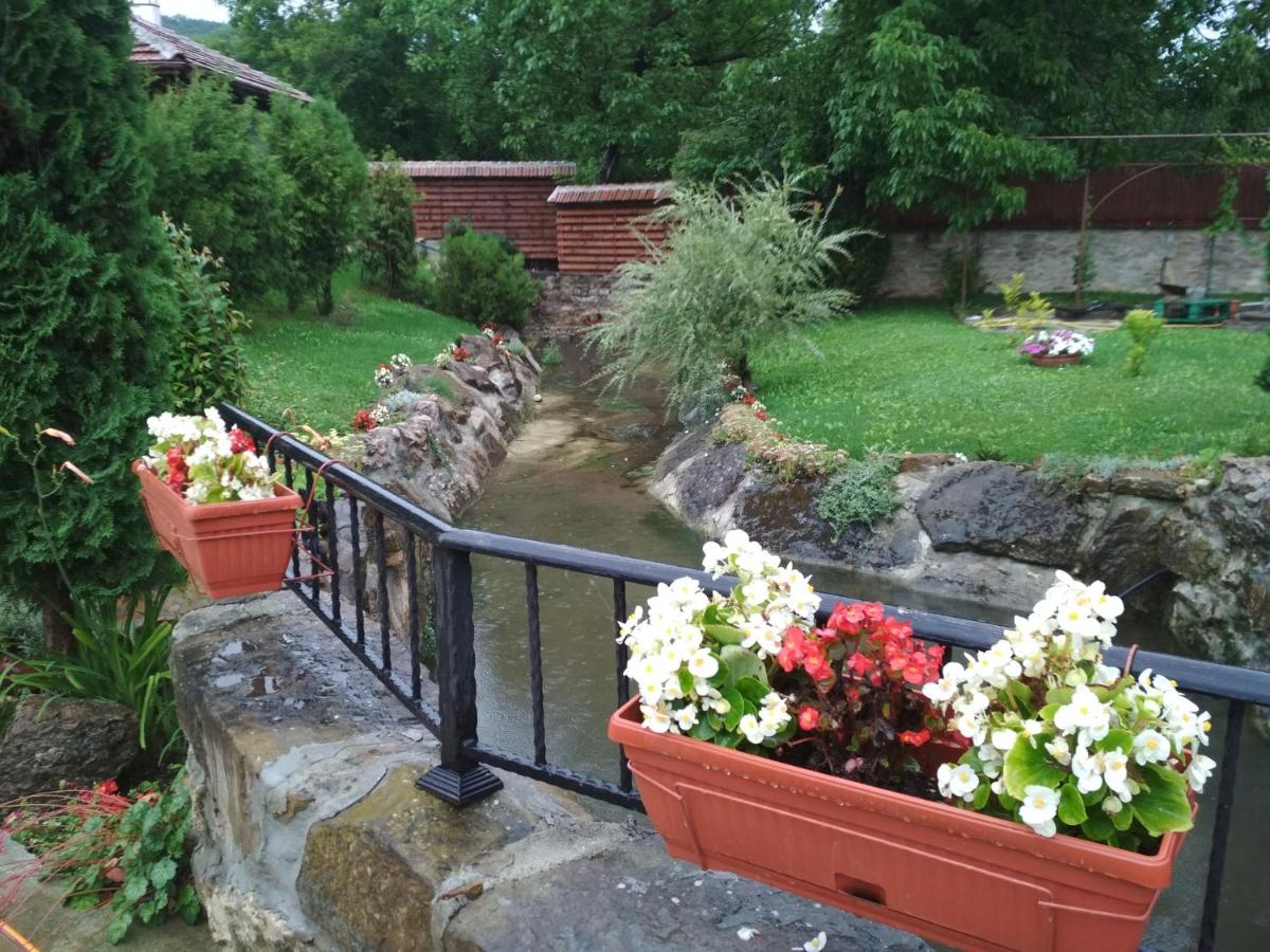 Guest House 