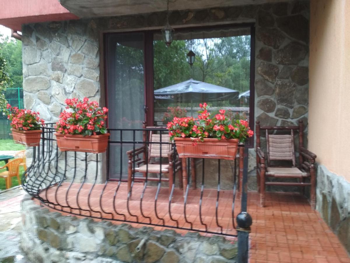 Guest House 