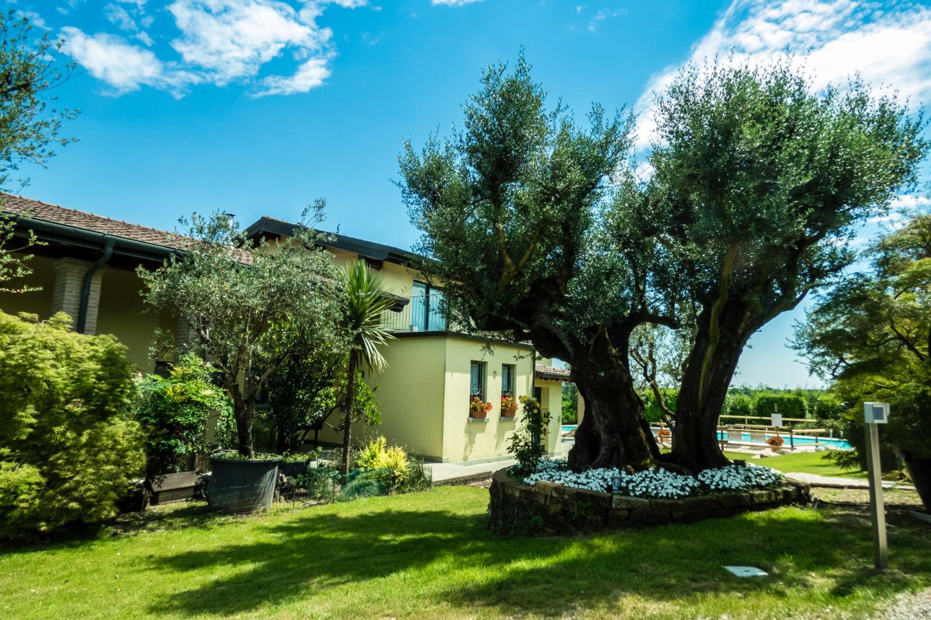 agriturismo" il glicine bianco" view 3