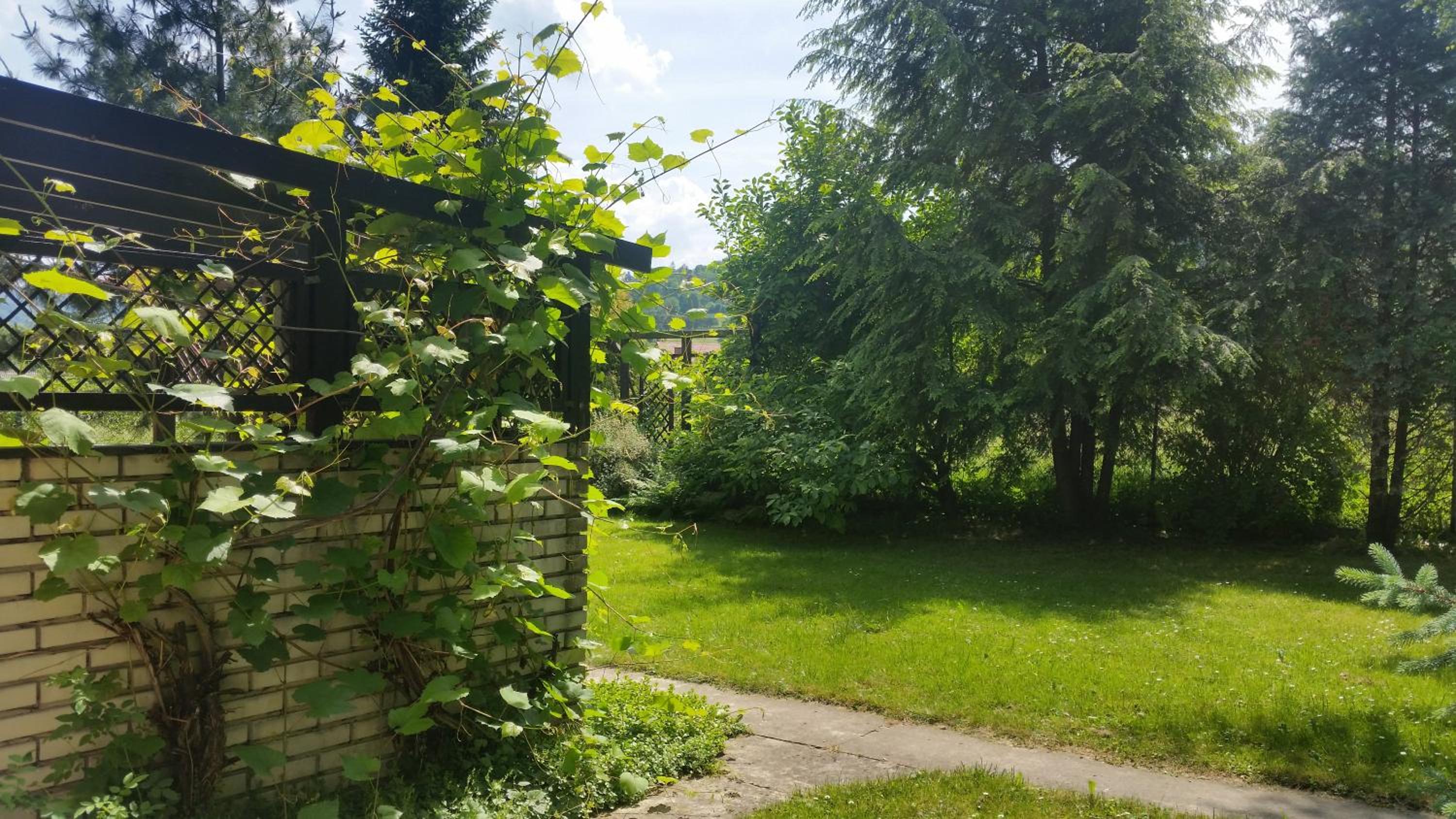 Photo 27