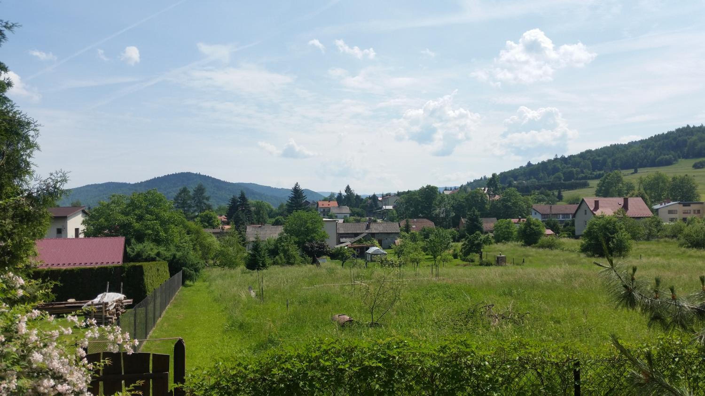 Photo 30