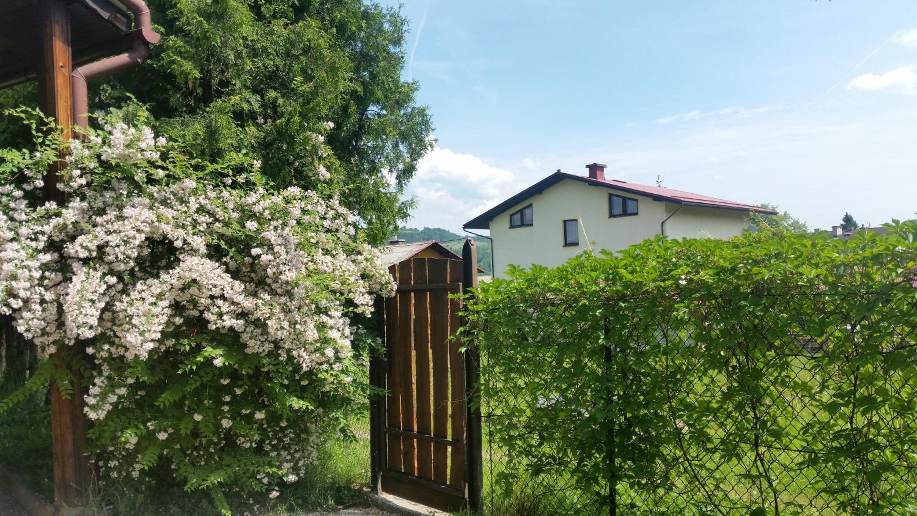 Świnna - Brzozowy Zagajnik view 2