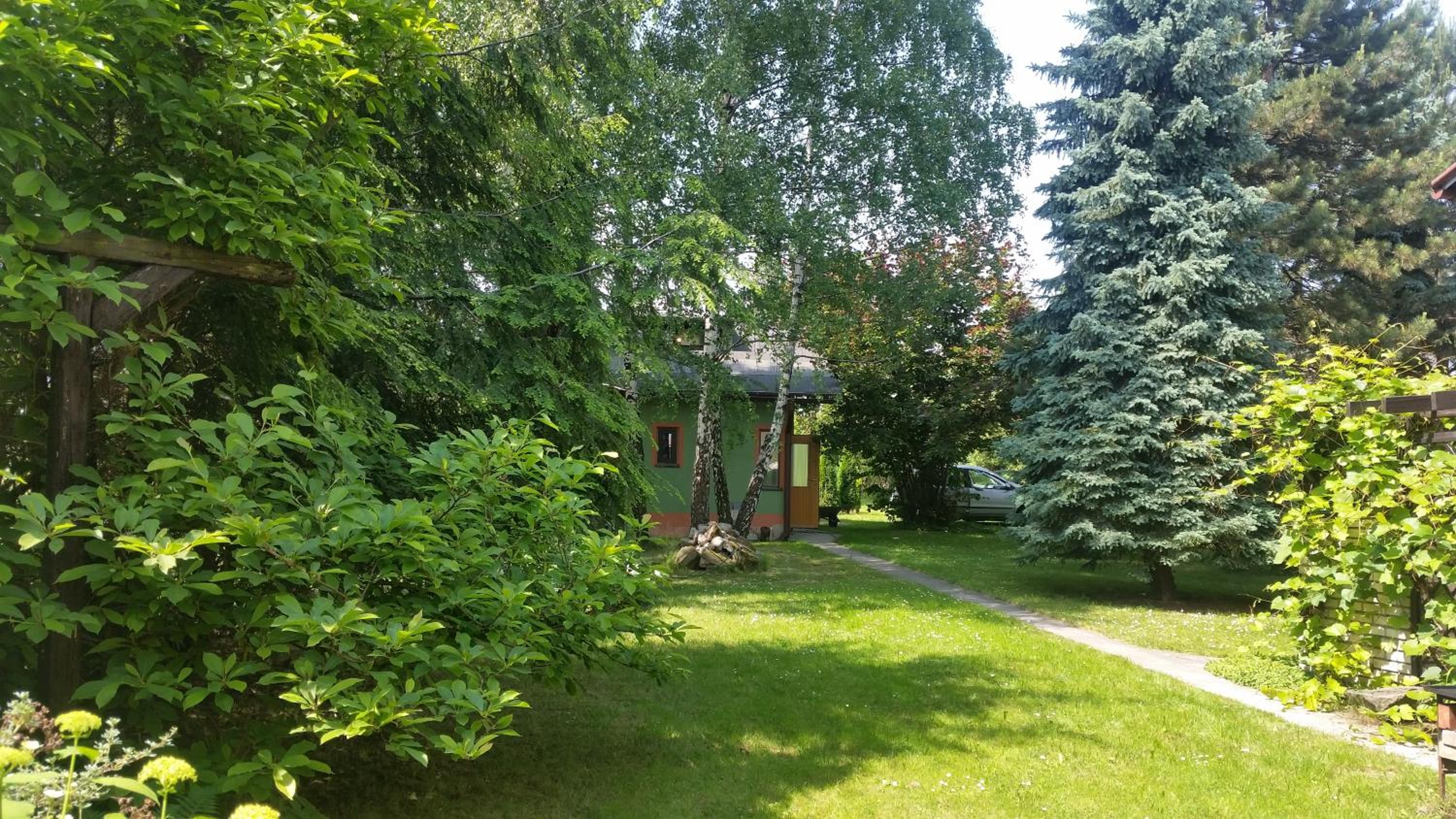 Photo 15