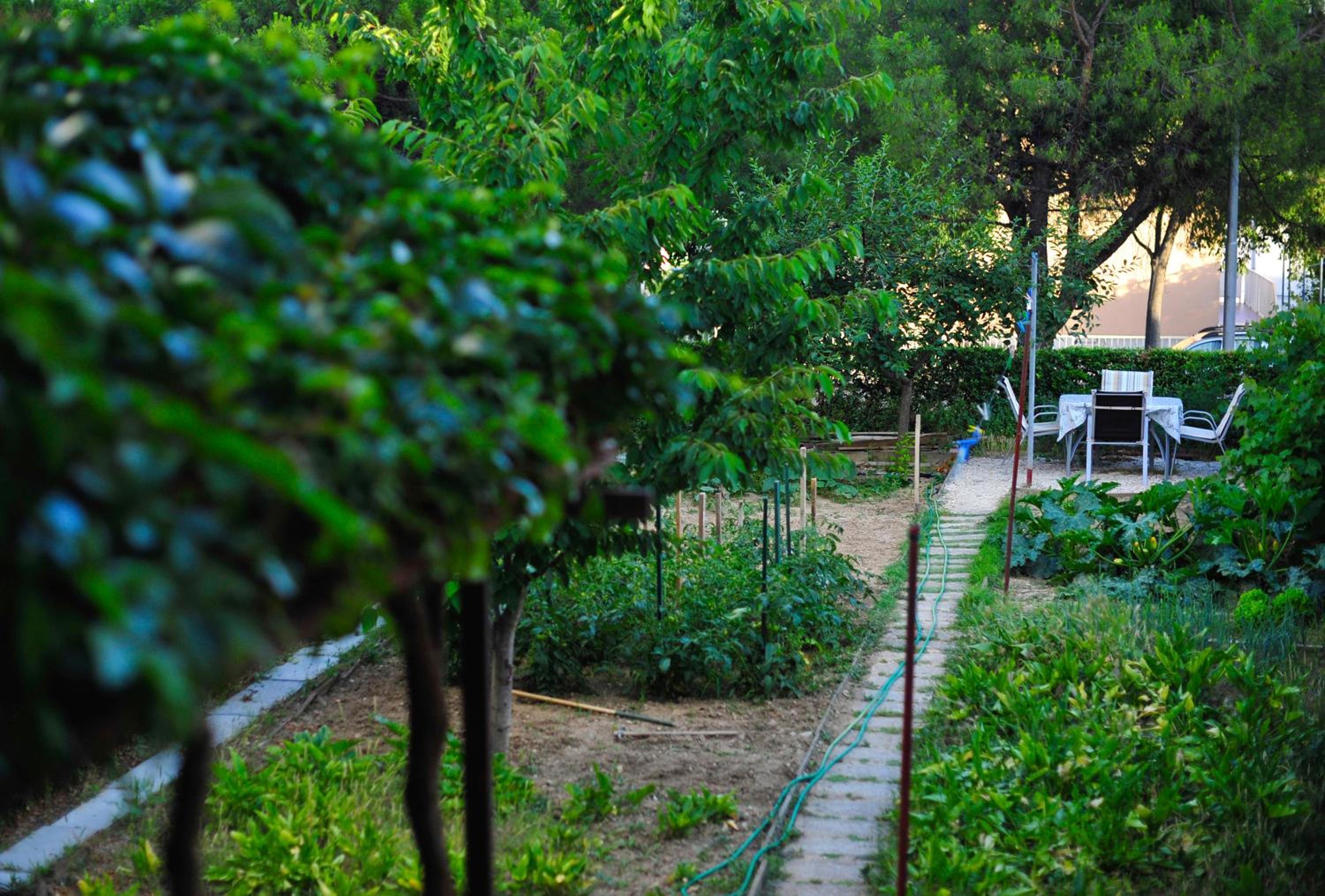 Green Garden Apartment