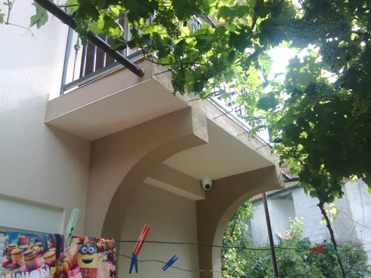 Photo 45