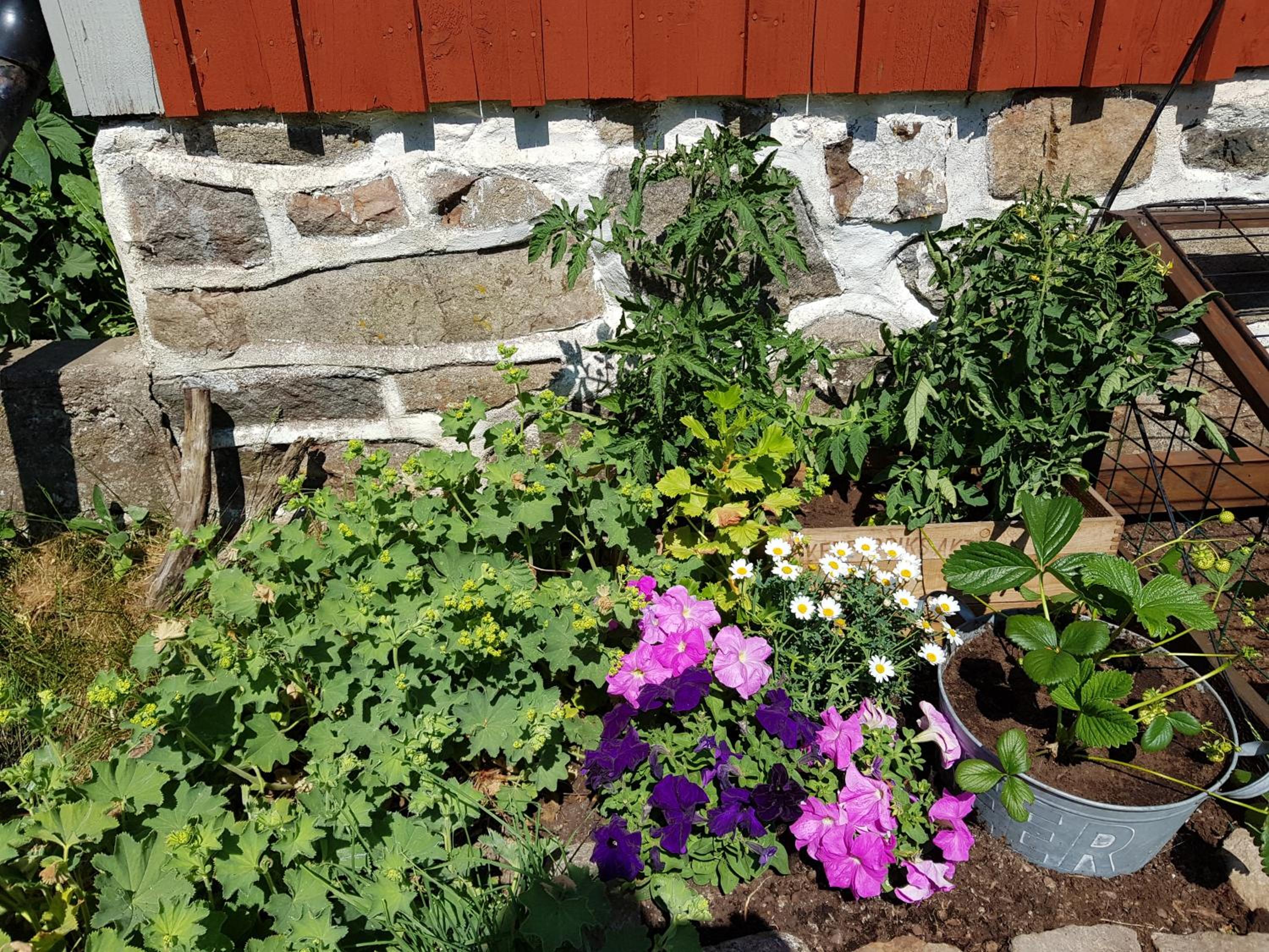 Photo 15