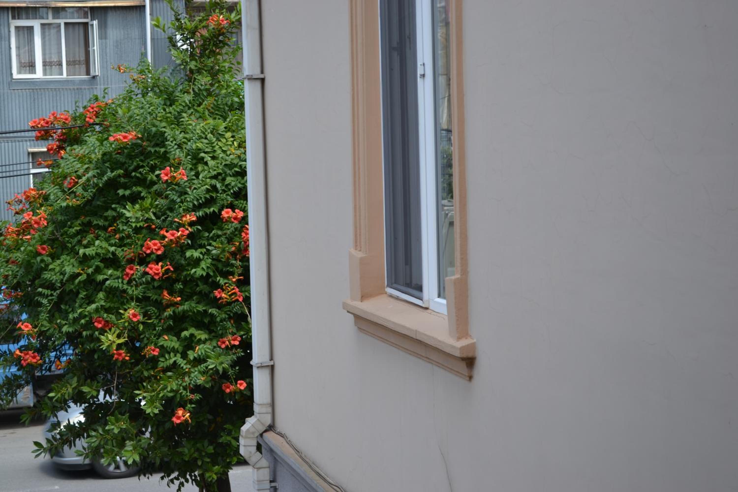 Apartment Fumfula