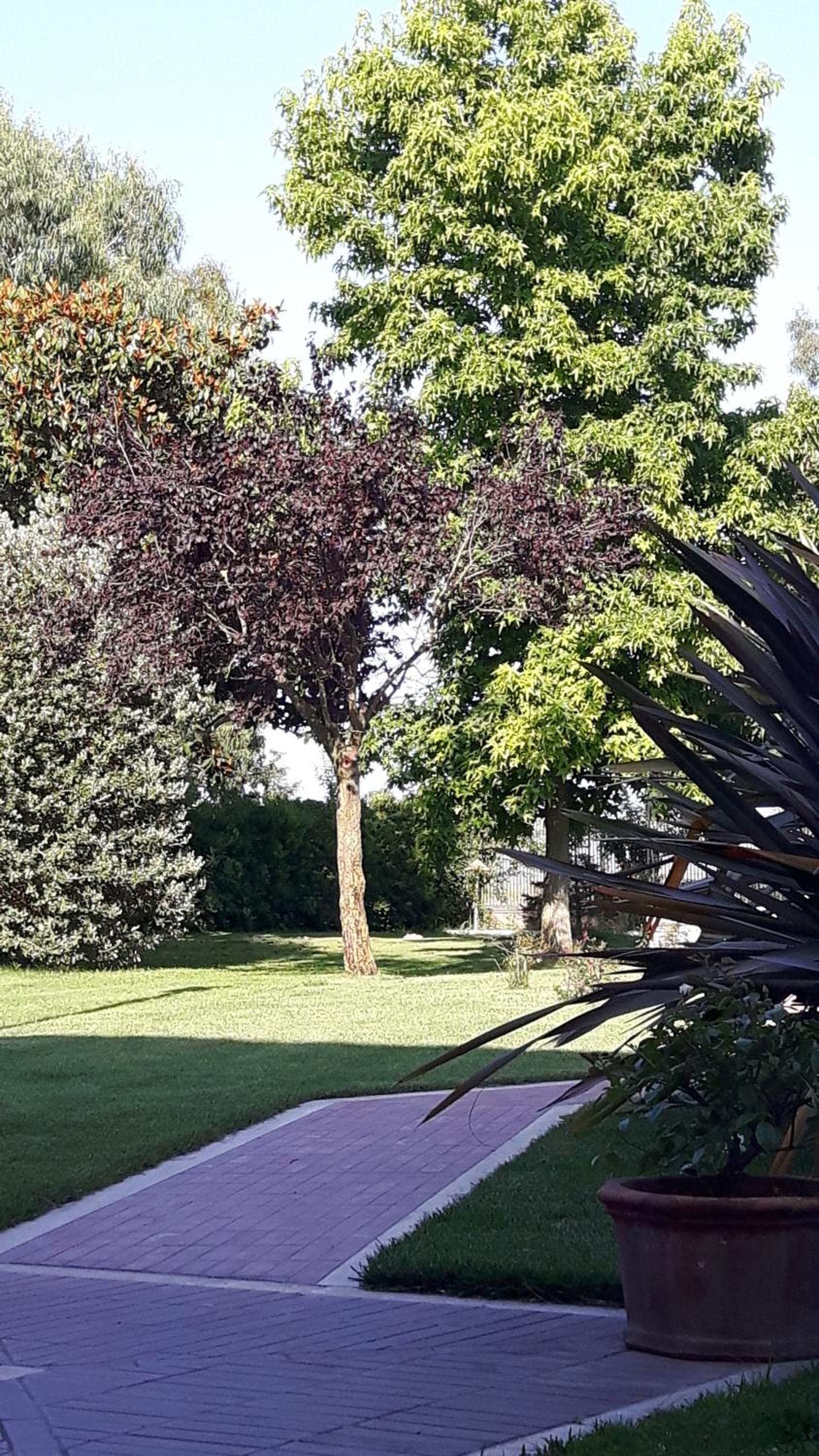 Il Casale Corte Rossa photo 5