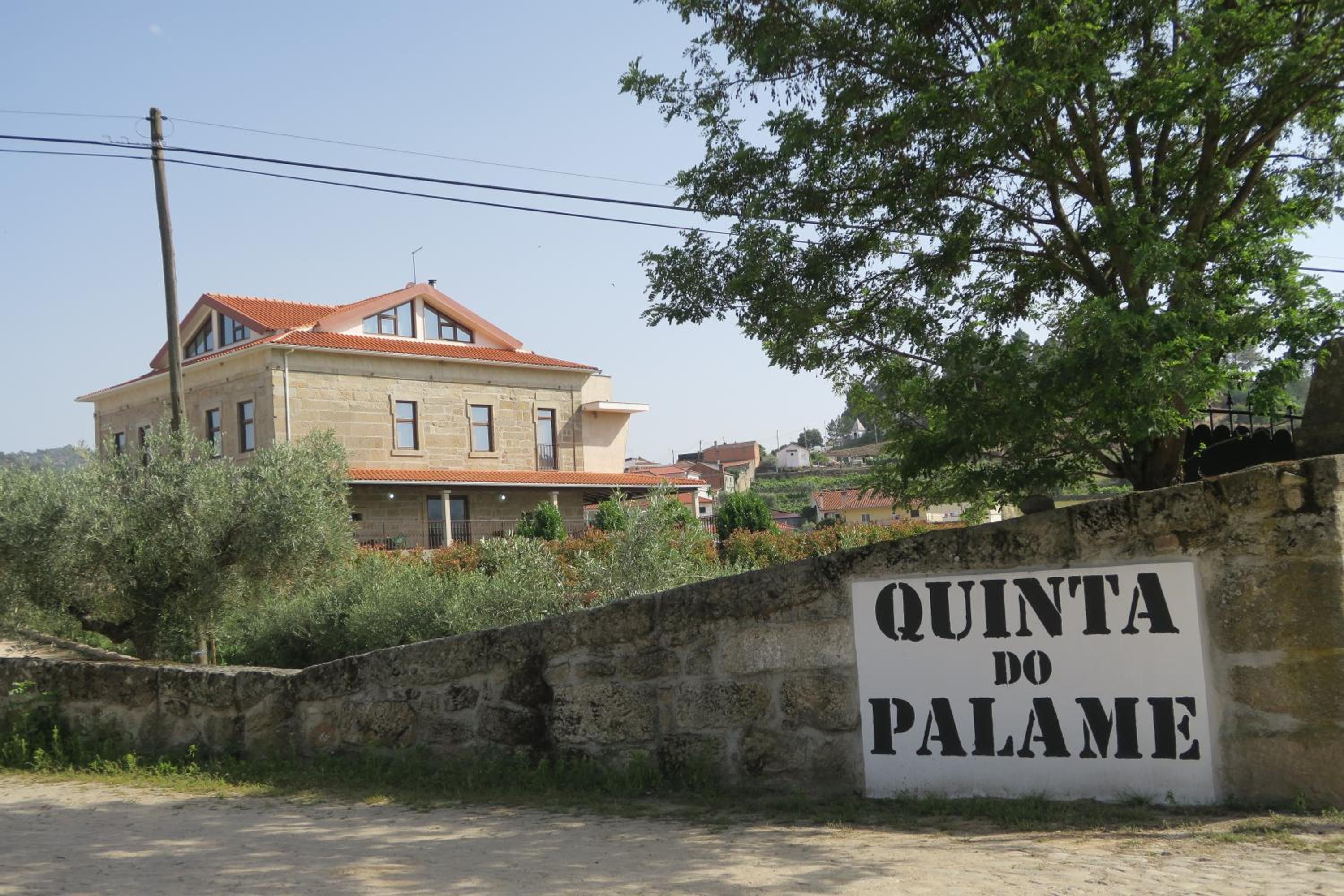 Hotel Quinta do Palame