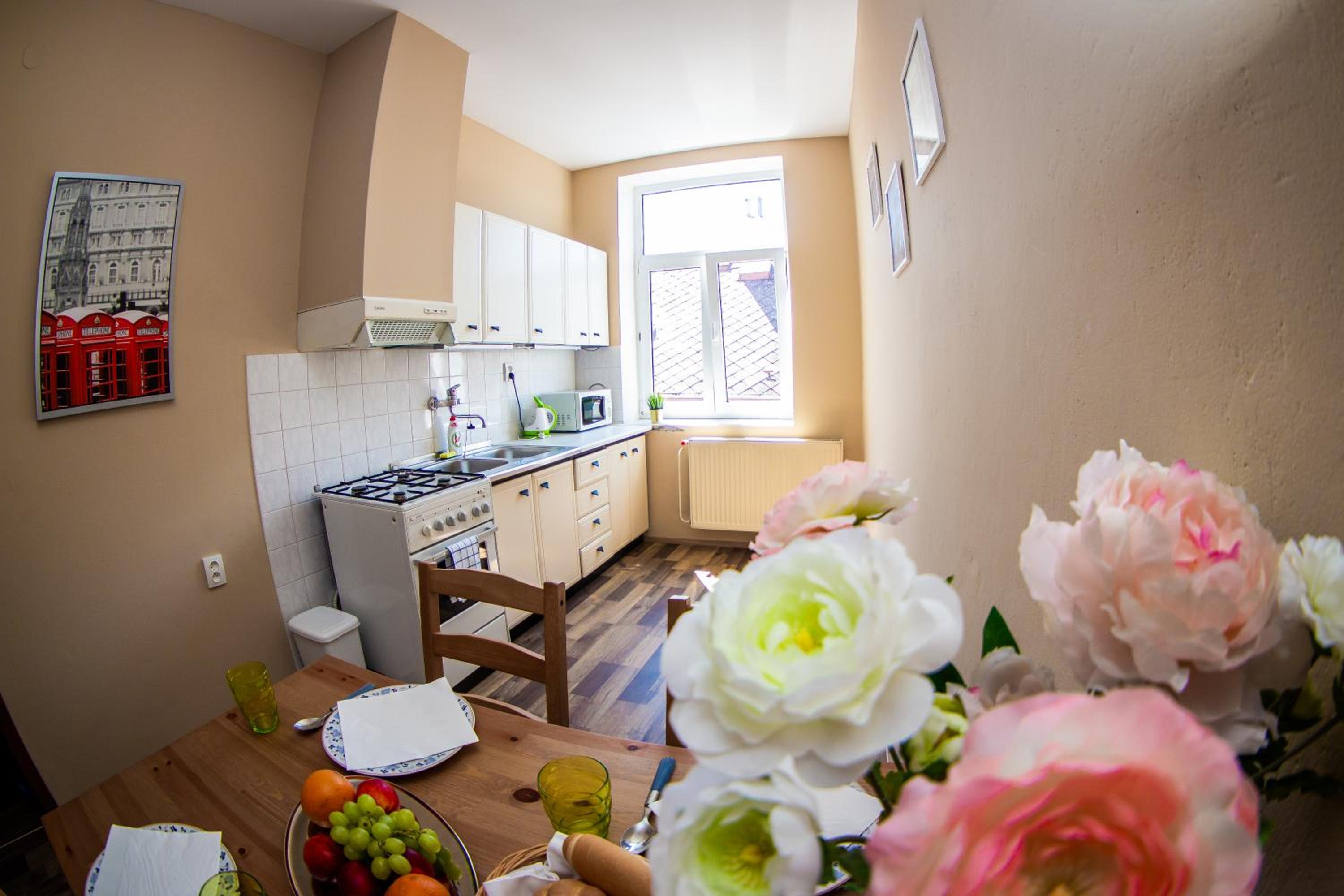 Apartmán U krále Komenského view 5