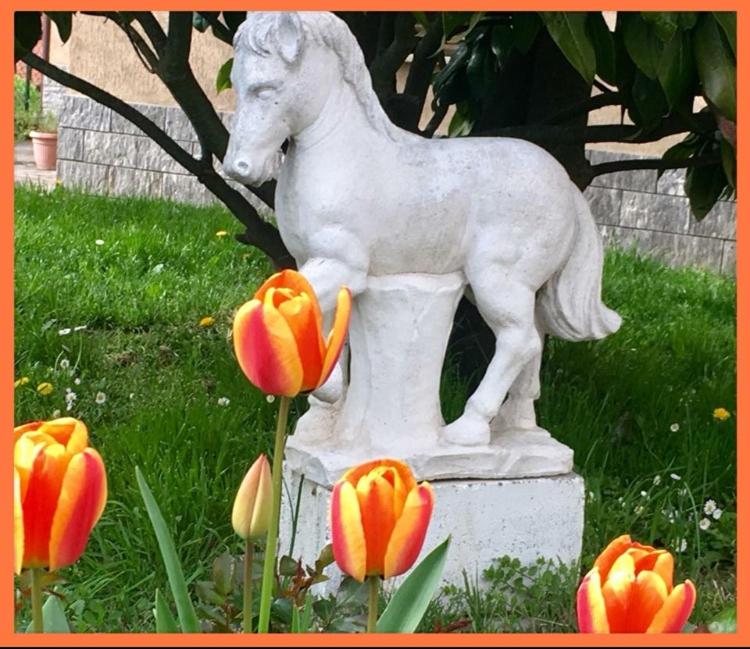 Felix House - Property Image 59