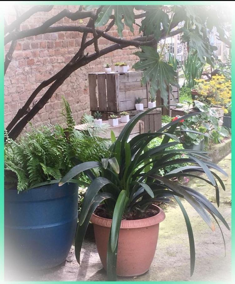 Felix House - Property Image 62