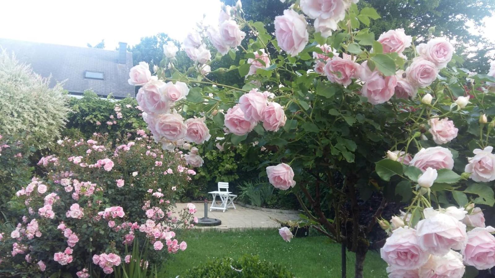 Le Memagne