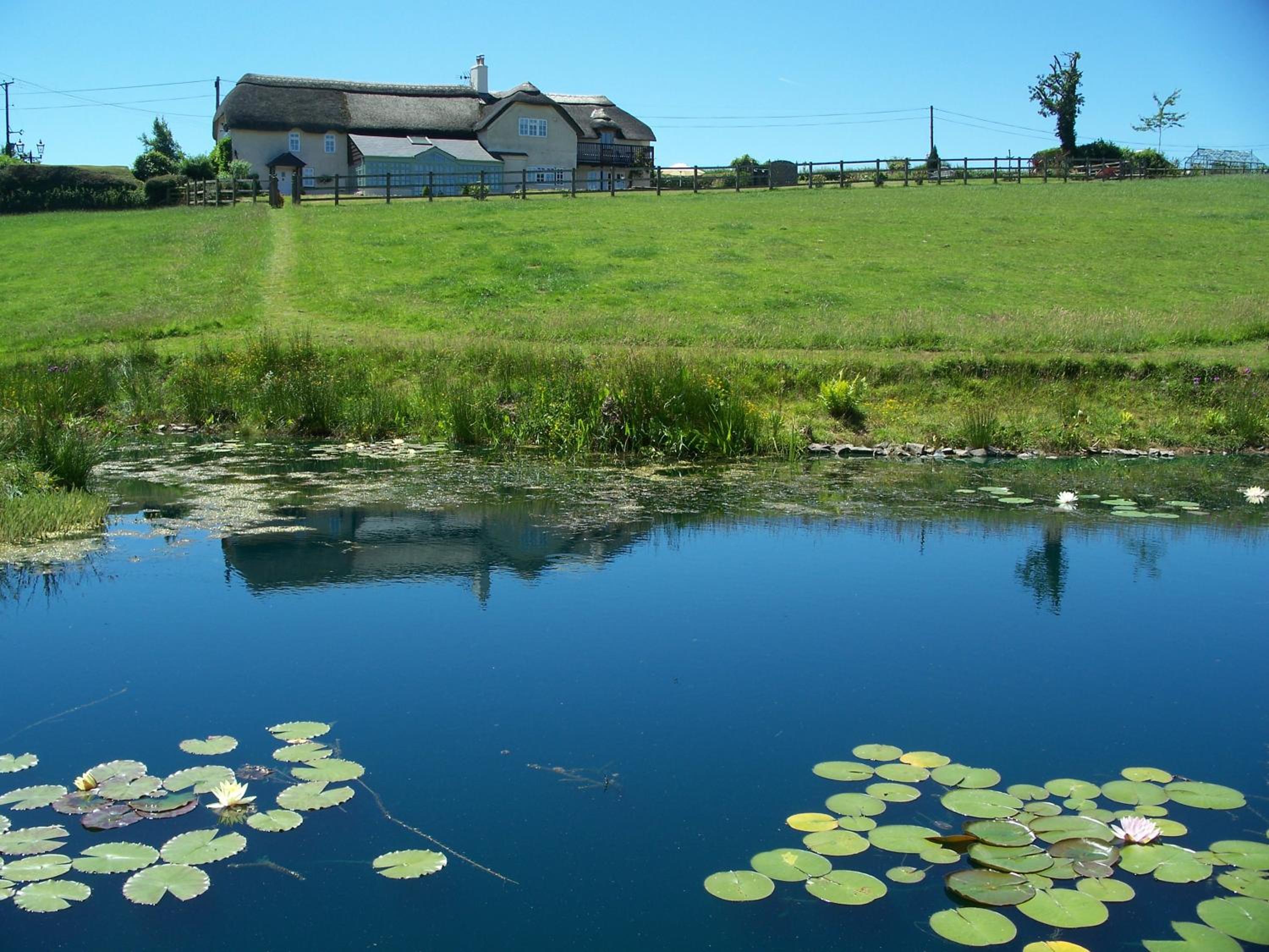 Fernside Bed and Breakfast