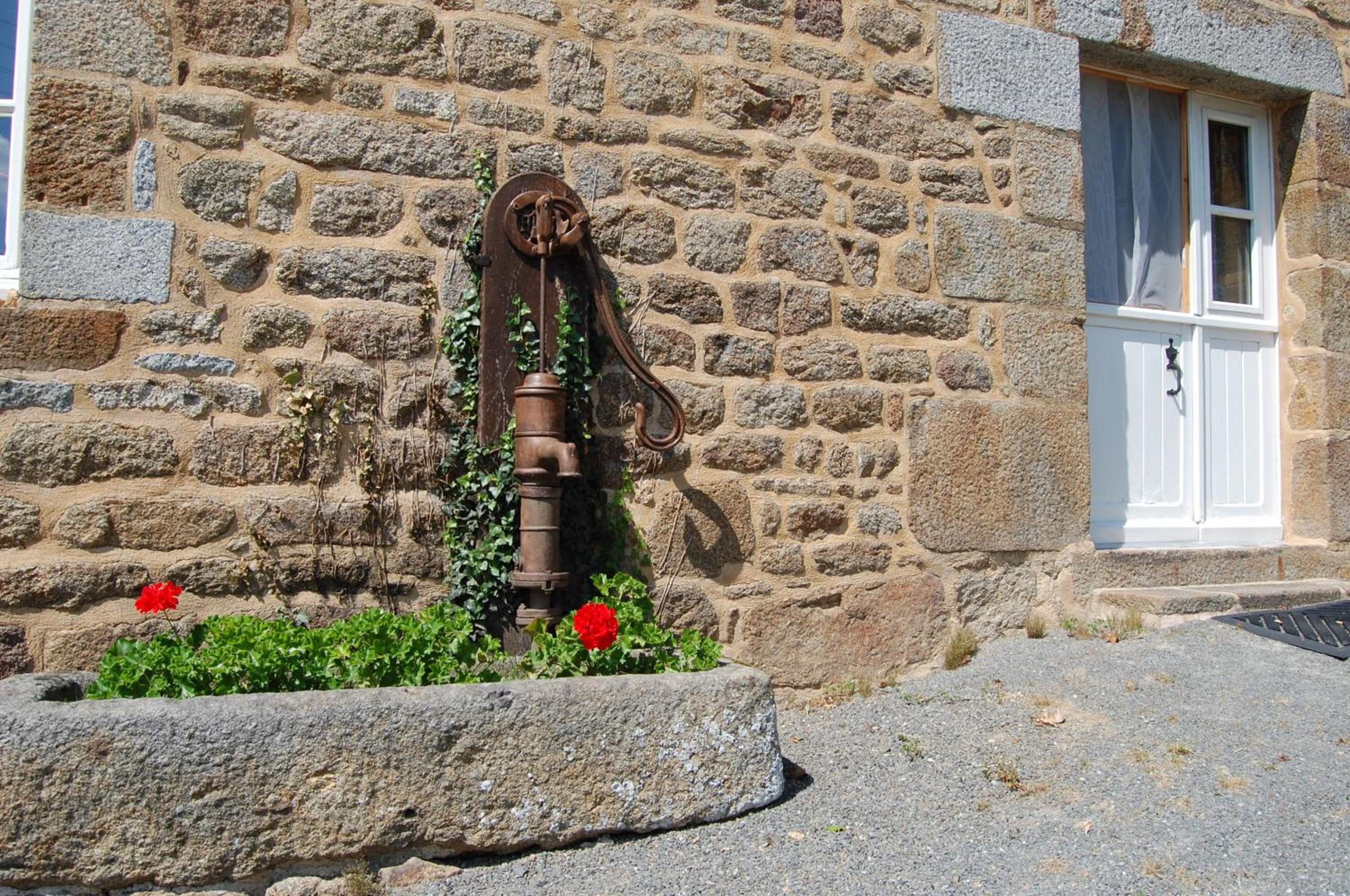Photo 11
