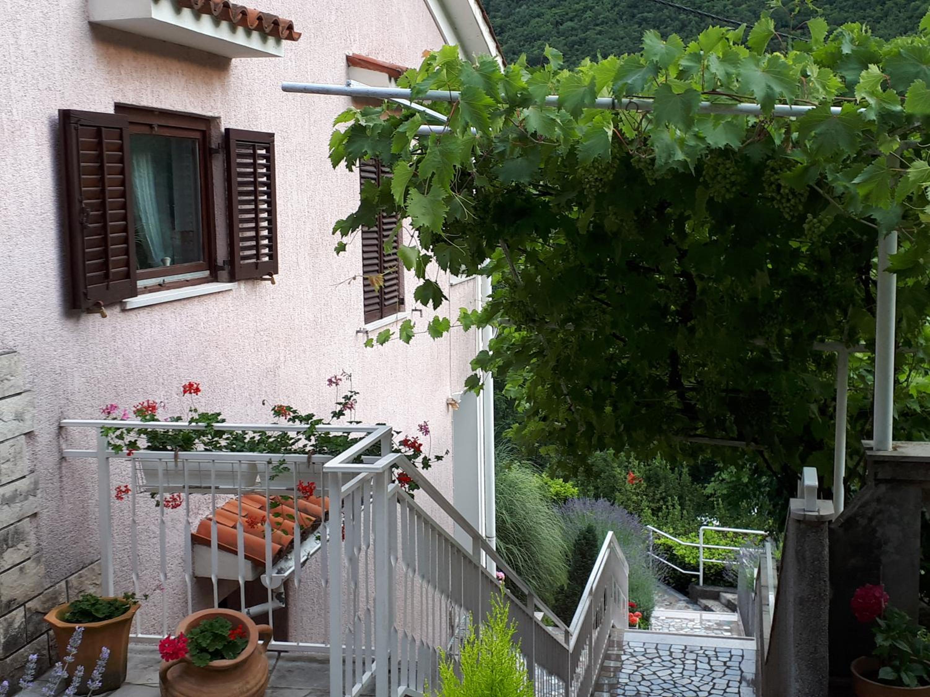Apartments & rooms MIKLEUS