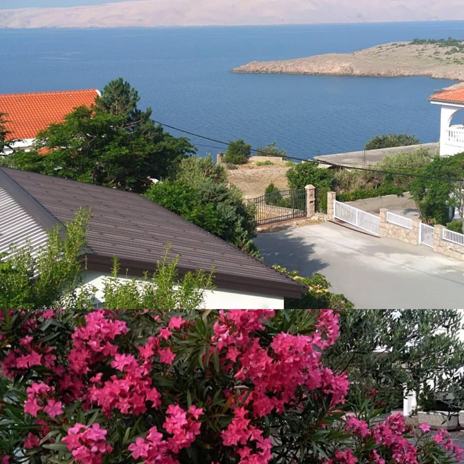 Apartman Zahira view 4