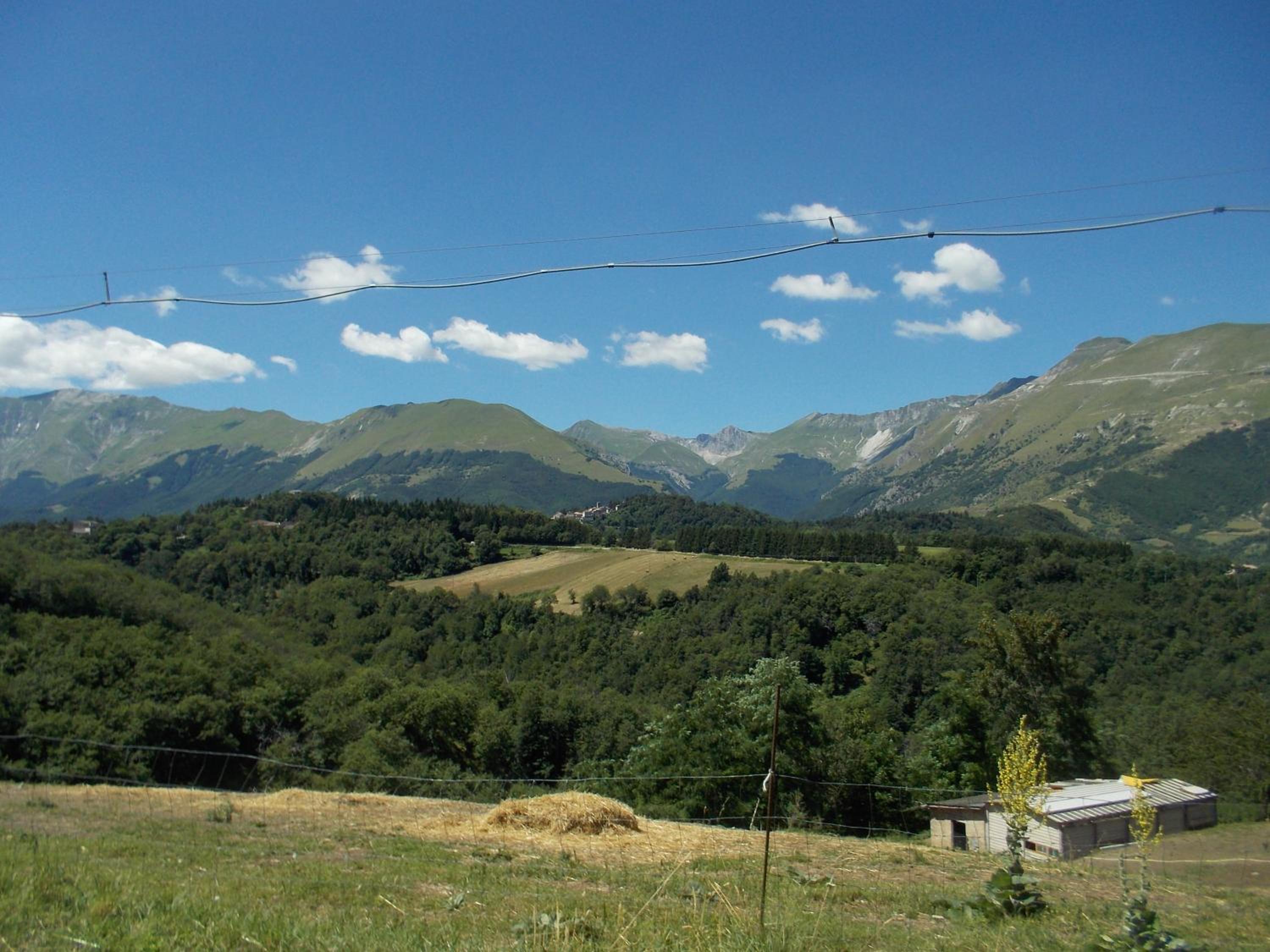 Photo 30