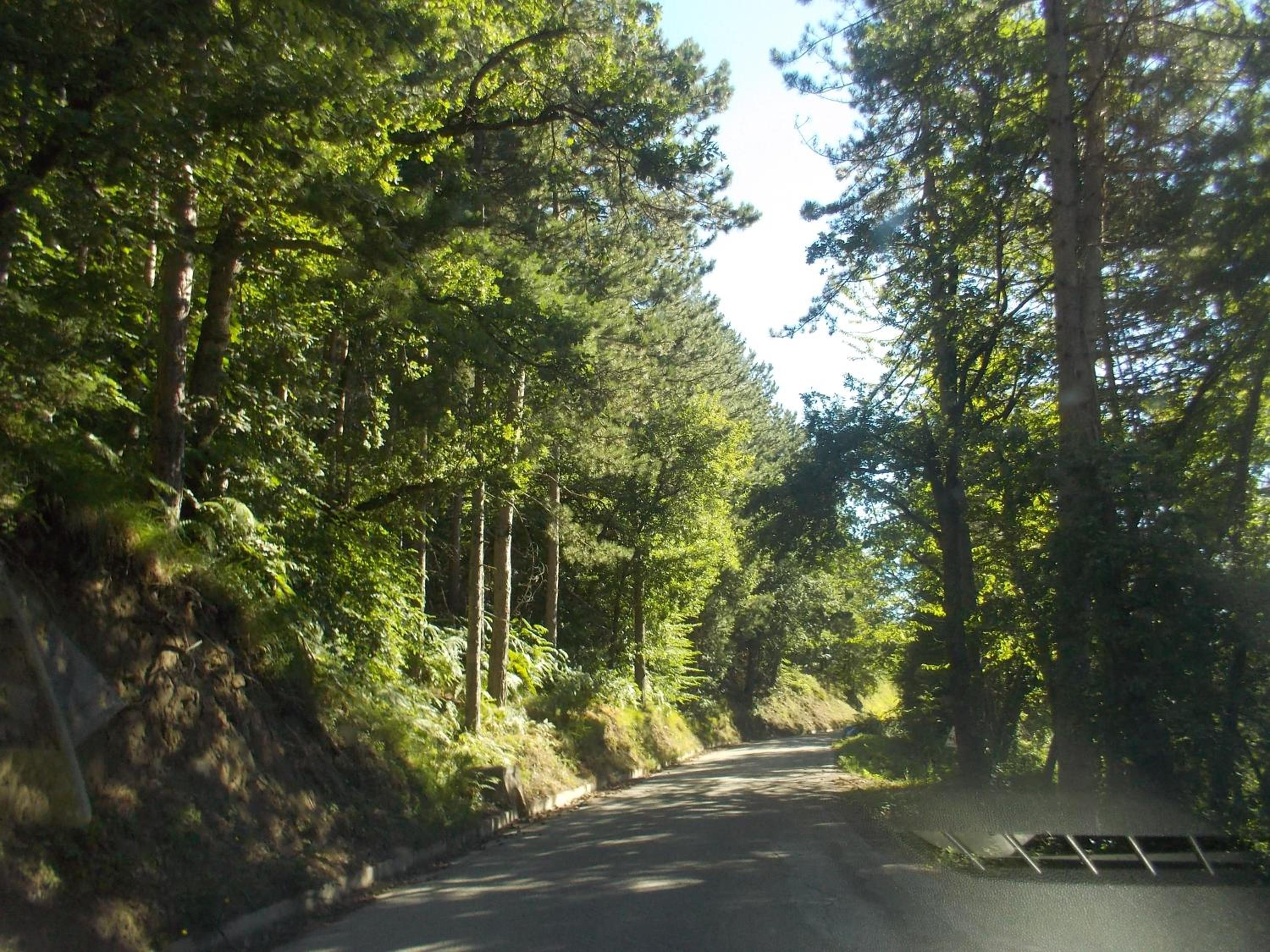 Photo 29