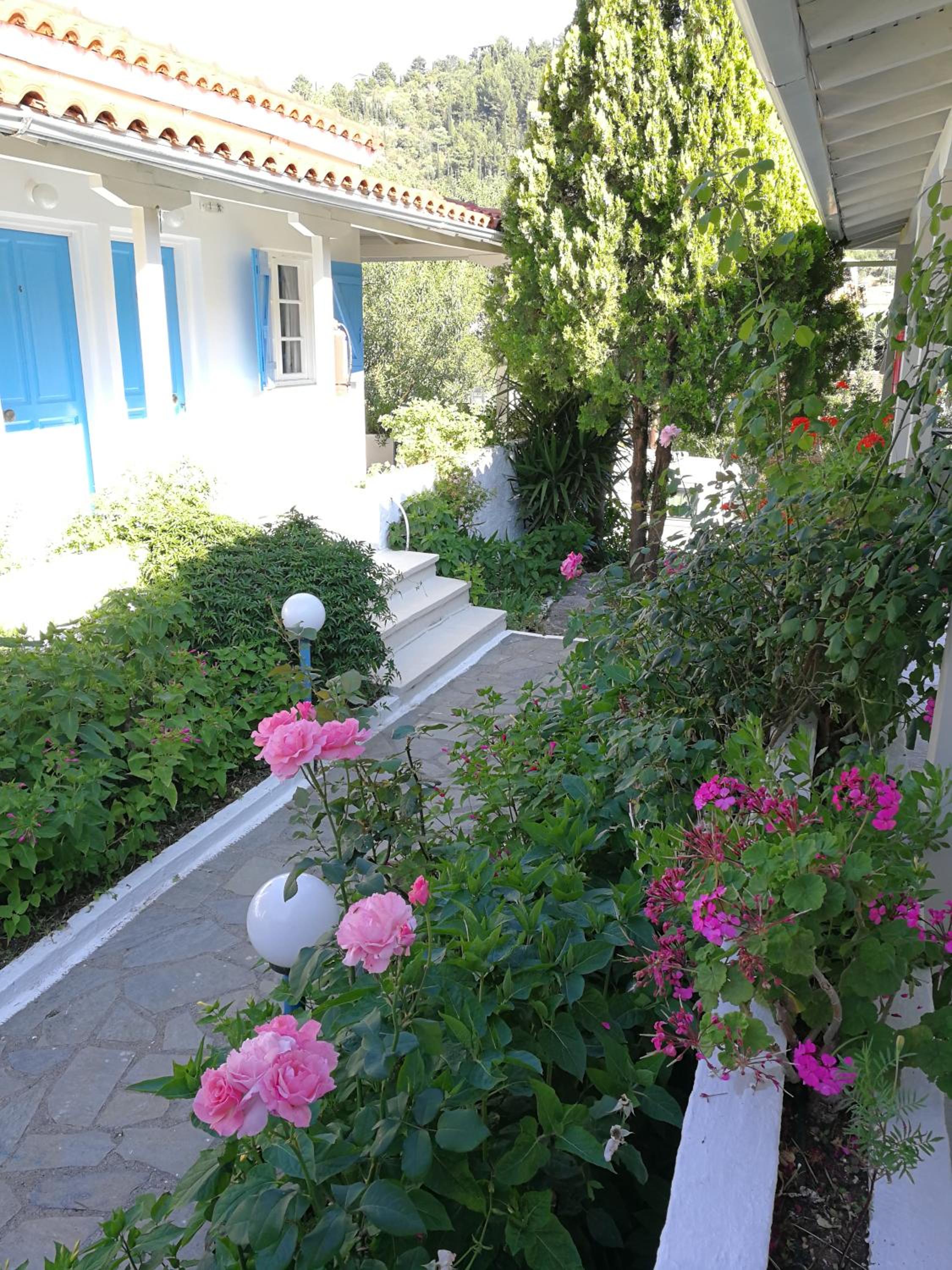 Blue White House view 4
