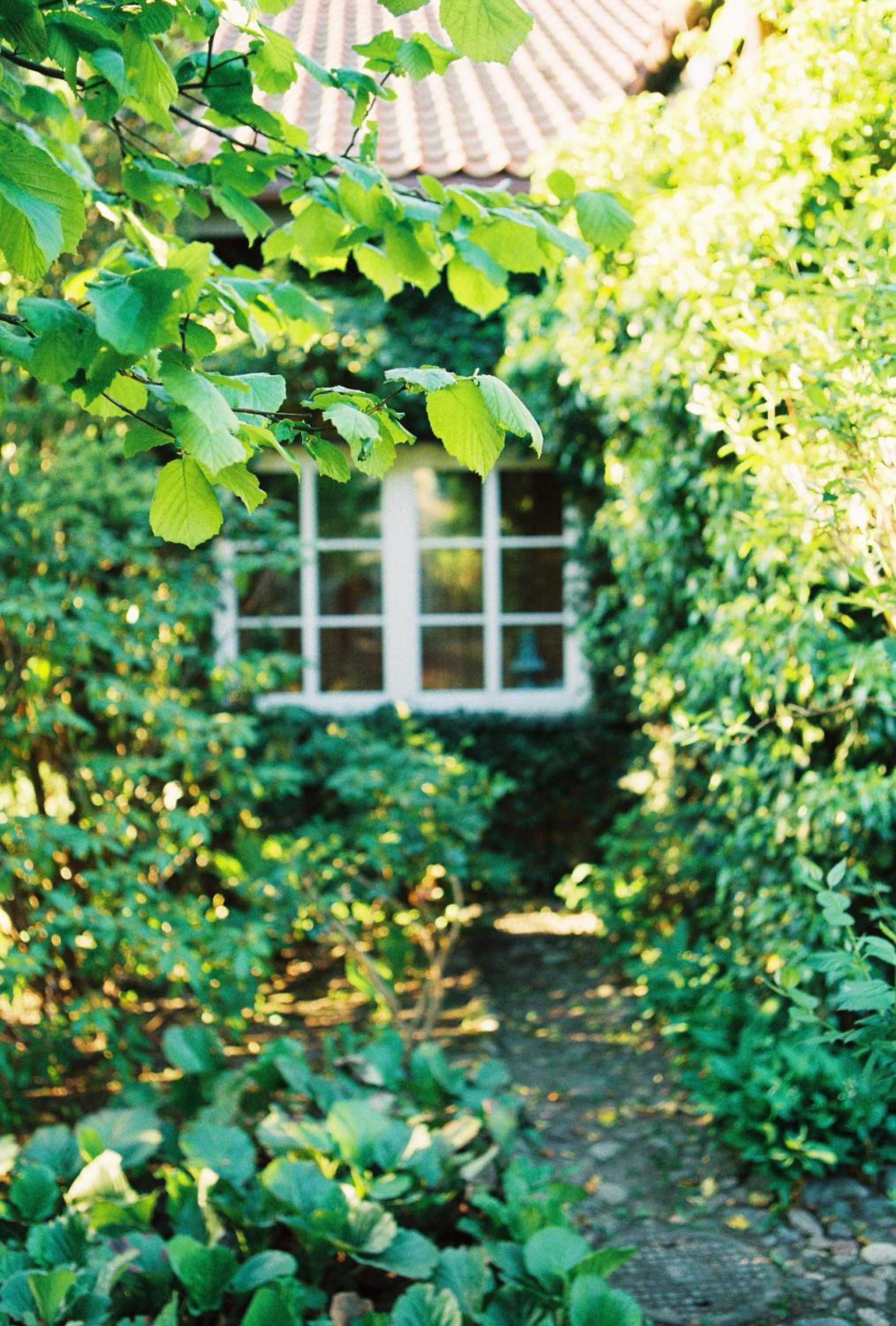 Photo 47